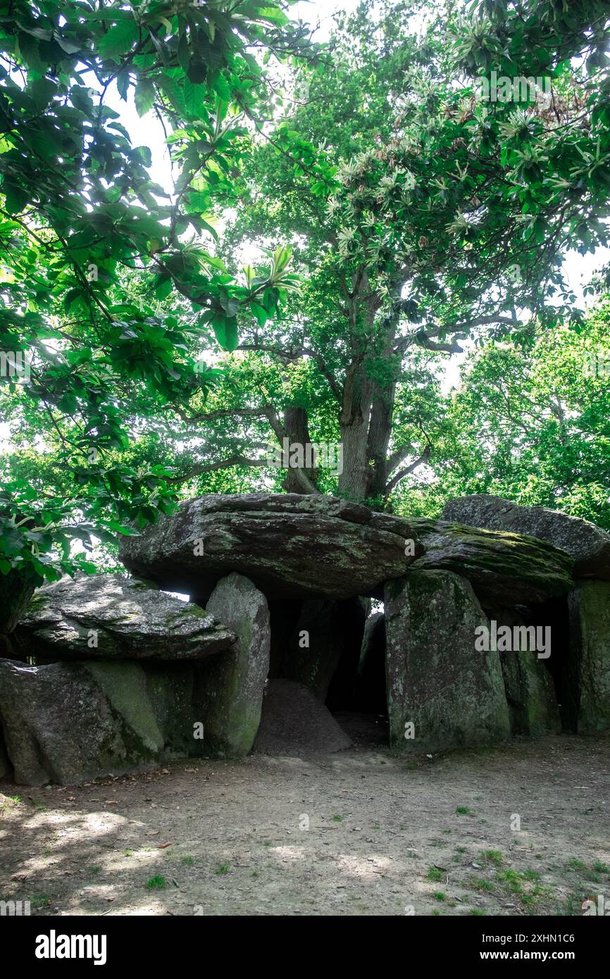 ESSE, France. 13 juillet 2024. Michael Bunel/le Pictorium - Dolmen la Roche aux Fees - 13/07/2024 - France/Bretagne/Esse - la Roche aux Fees est un dolmen nommé d'après la légende selon laquelle les pierres ont été apportées ici par des fées. Le dolmen est composé de plus de quarante pierres formant un couloir quatre fois plus long qu'il est large, orienté nord-nord-ouest-sud-est. C'est un dolmen de type Anjou. 13 juillet 2024. ESSE. France. Crédit : LE PICTORIUM/Alamy Live News Banque D'Images