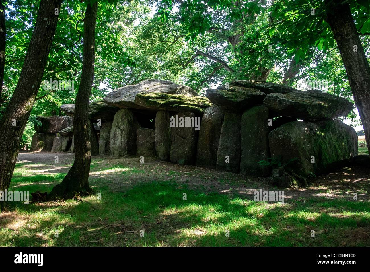 ESSE, France. 13 juillet 2024. Michael Bunel/le Pictorium - Dolmen la Roche aux Fees - 13/07/2024 - France/Bretagne/Esse - la Roche aux Fees est un dolmen nommé d'après la légende selon laquelle les pierres ont été apportées ici par des fées. Le dolmen est composé de plus de quarante pierres formant un couloir quatre fois plus long qu'il est large, orienté nord-nord-ouest-sud-est. C'est un dolmen de type Anjou. 13 juillet 2024. ESSE. France. Crédit : LE PICTORIUM/Alamy Live News Banque D'Images