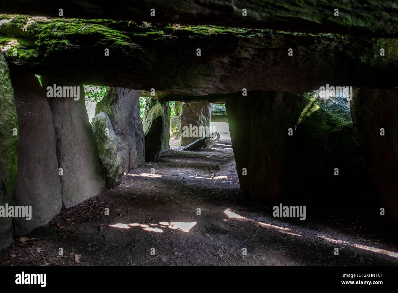 ESSE, France. 13 juillet 2024. Michael Bunel/le Pictorium - Dolmen la Roche aux Fees - 13/07/2024 - France/Bretagne/Esse - la Roche aux Fees est un dolmen nommé d'après la légende selon laquelle les pierres ont été apportées ici par des fées. Le dolmen est composé de plus de quarante pierres formant un couloir quatre fois plus long qu'il est large, orienté nord-nord-ouest-sud-est. C'est un dolmen de type Anjou. 13 juillet 2024. ESSE. France. Crédit : LE PICTORIUM/Alamy Live News Banque D'Images