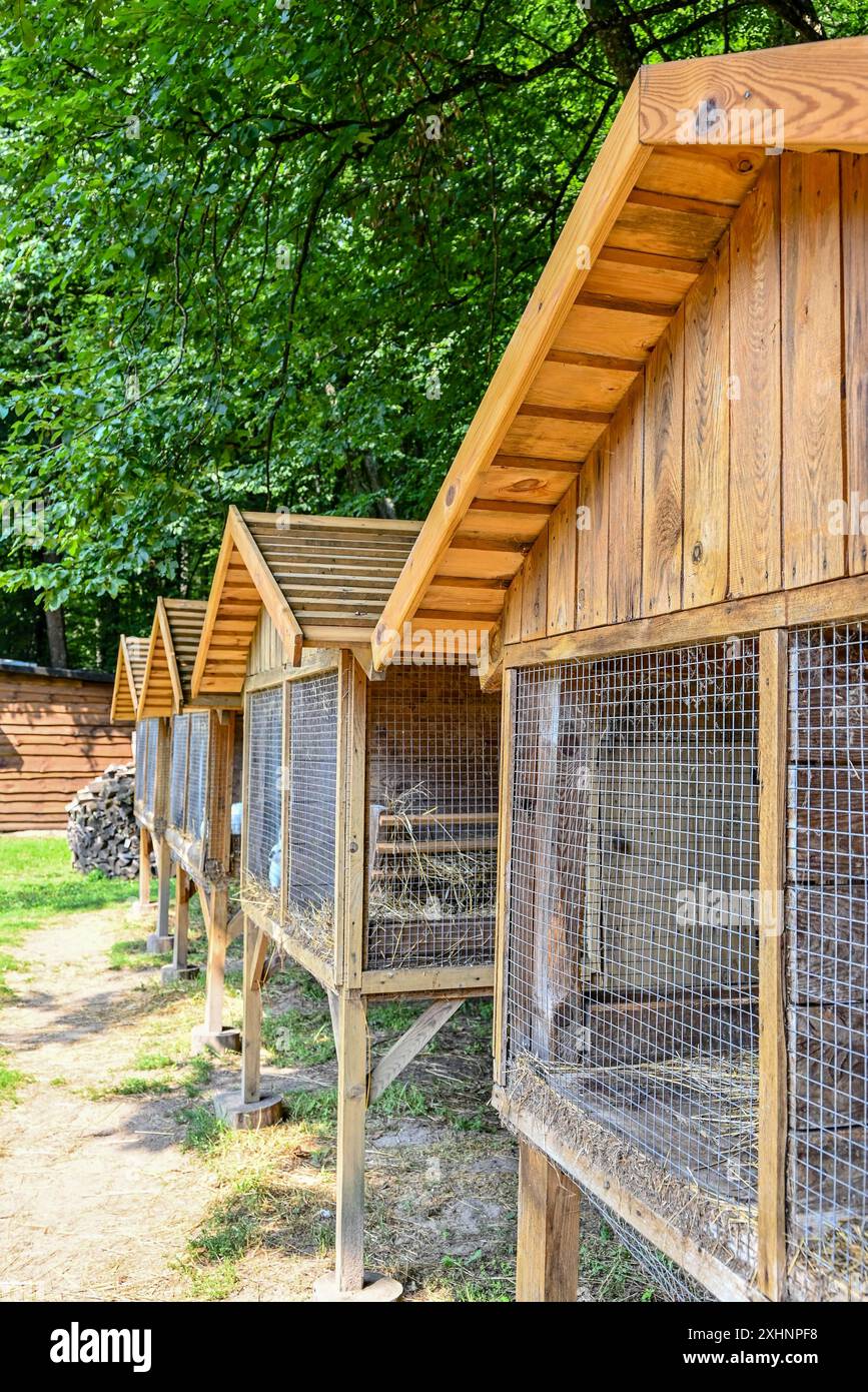 Une cage de lapin spacieuse avec un toit en bois et une maille, harmonieusement intégrée dans le paysage forestier pittoresque, vous invite à profiter du silence an Banque D'Images