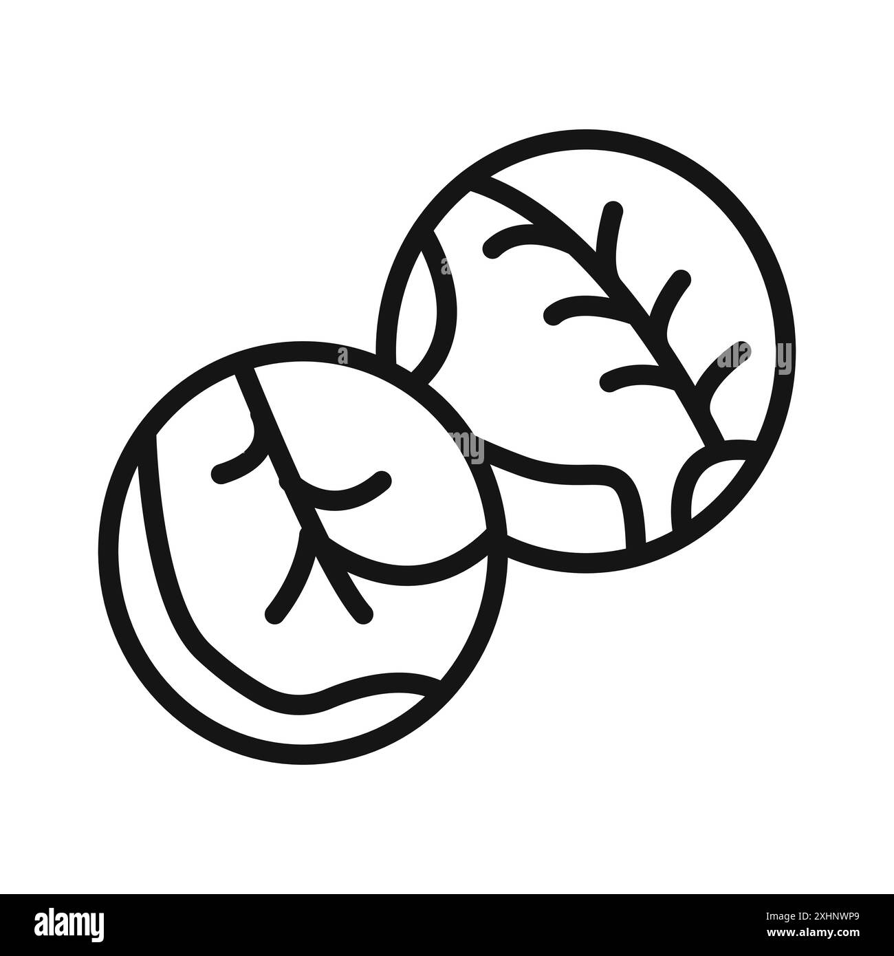 Bruxelles Sprouts Chbage icône vecteur d'art de ligne noire en noir et blanc contour set signe de collecte Illustration de Vecteur