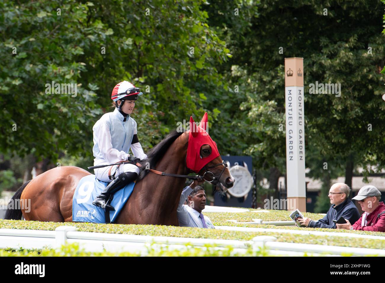 Ascot, Berkshire, Royaume-Uni. 13 juillet 2024. Cheval Toca Madera monté par le jockey Olivia Tubb se dirige sur le circuit pour courir dans les A1R services Heritage handicap Stakes à Ascot Racecourse dans le Berkshire au Summer Mile Family Raceday. Propriétaire Family Amusements Ltd & Mr J Botton, entraîneur Brian Meehan, Manton, éleveur Tinnakill Bloodstock, sponsor Sirecam Europe. Crédit : Maureen McLean/Alamy Banque D'Images