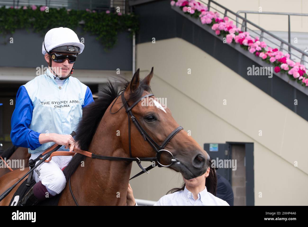 Ascot, Berkshire, Royaume-Uni. 13 juillet 2024. Cheval Sonny Liston monté par le jockey Rob Hornby se dirige sur le circuit de racktrack pour courir dans les Summer Miles Stakes Anne Cowley Memorial à Ascot Racecourse dans le Berkshire au Summer Mile Family Raceday. Propriétaire Chelsea Thoroughbreds - The Big Bear, entraîneur Ralph Beckett, Kimpton Down, éleveur Tally-Ho Stud, commanditaire des bras de Sydney. Crédit : Maureen McLean/Alamy Banque D'Images