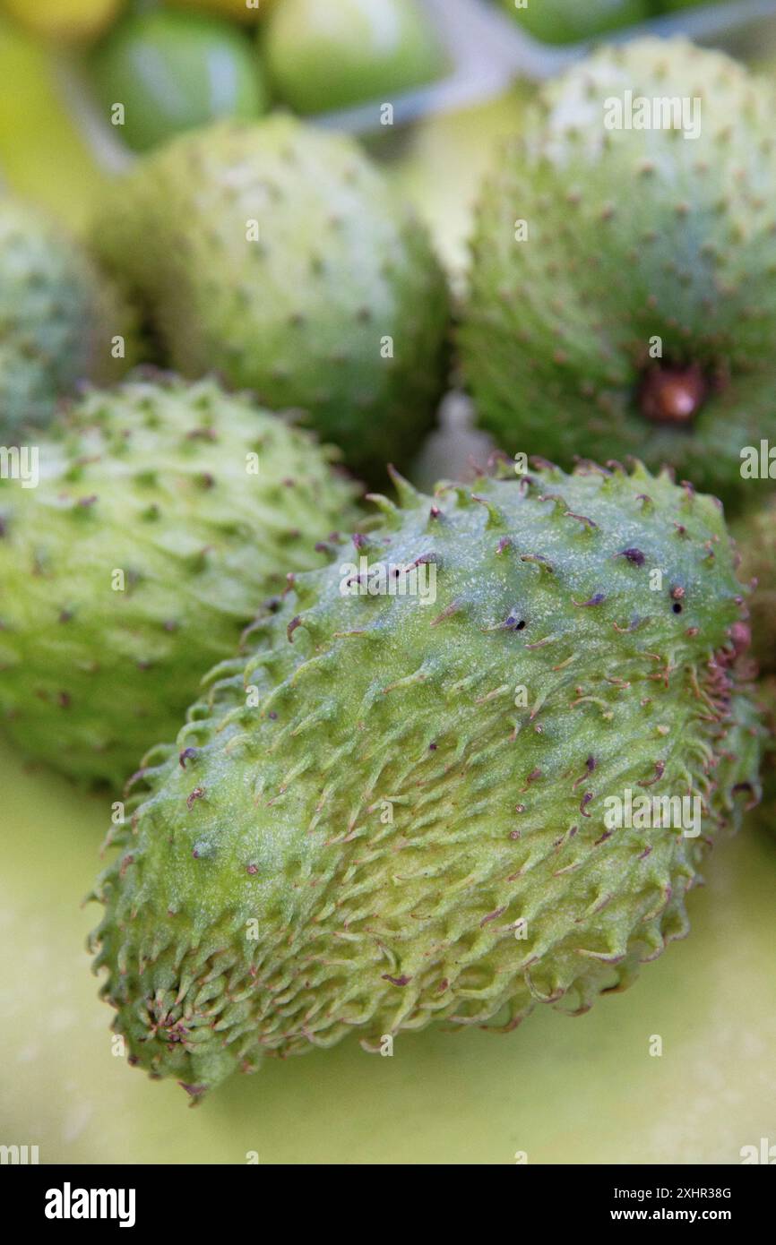 Polynésie française, île de Tahiti, Papeete, Soursop sur un étal du marché municipal Banque D'Images