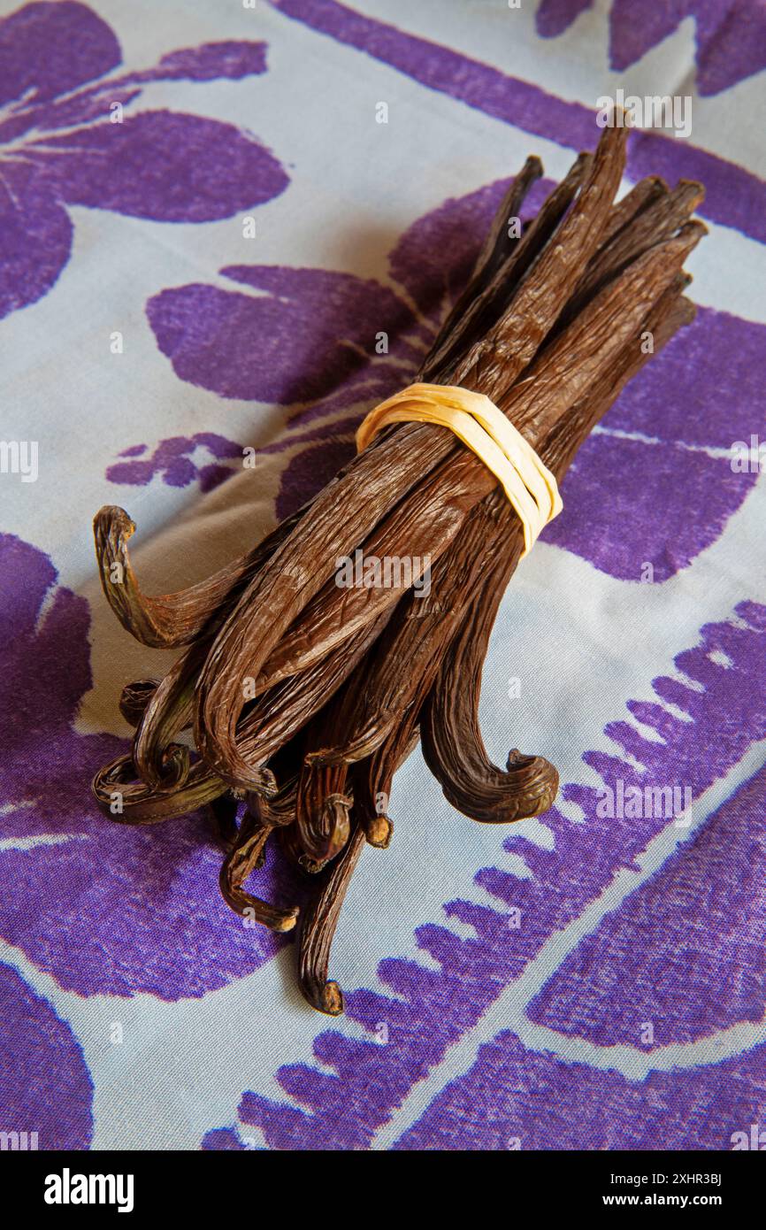 Polynésie française, île de Bora Bora, bouquet de gousses de vanille de Tahiti posées sur un paro violet aux motifs floraux polynésiens Banque D'Images