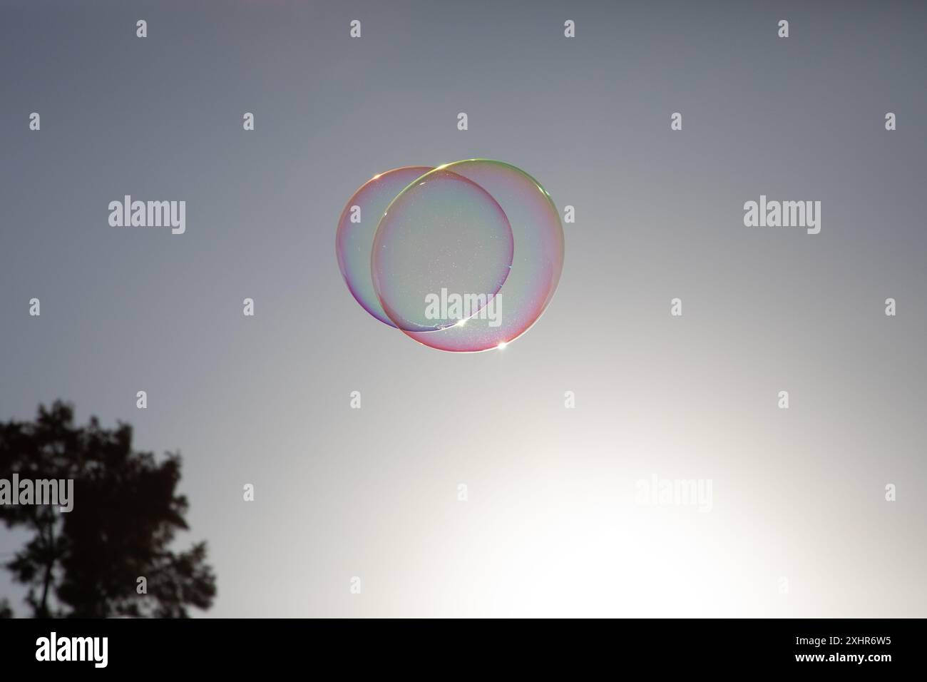 Jolies bulles de savon couleur arc-en-ciel éthérées flottant sereinement dans un ciel ensoleillé Banque D'Images