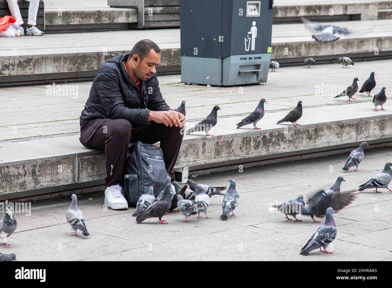 Homme nourrissant les pigeons à Jungfernstieg dans le district de Neustadt à Hambourg, Allemagne Banque D'Images