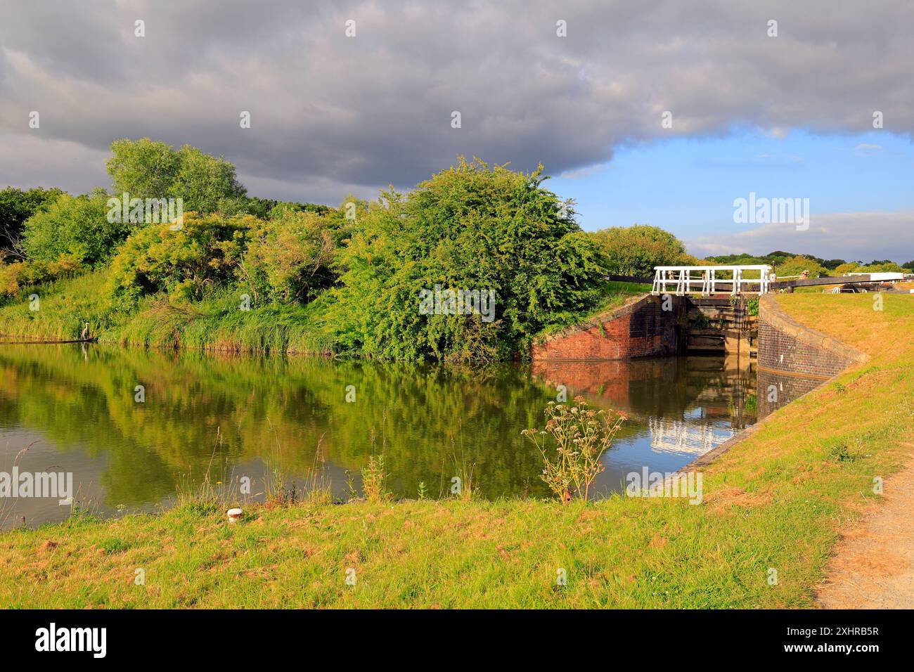 Les écluses de Caen Hill, le canal Kennett & Avon à Devizes. Prise en juillet 2024. Été. Banque D'Images