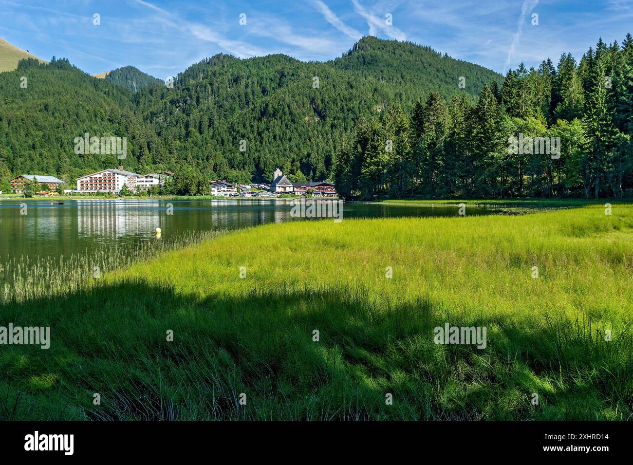 Lac de montagne avec étang prêle, prêle d'eau (Equisetum fluviatile) et village Spitzingsee, municipalité Schliersee, derrière les montagnes Raukopf Banque D'Images