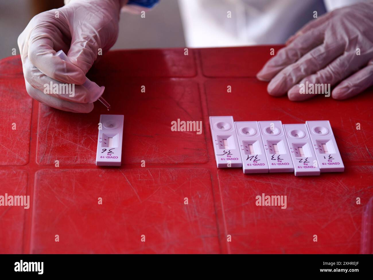 Un travailleur de la santé en équipement de protection individuelle (EPI) prélève un échantillon d’écouvillonnage nasal auprès des locaux pour le test rapide d’antigène (RAT) COVID-19, à un écouvillon Banque D'Images