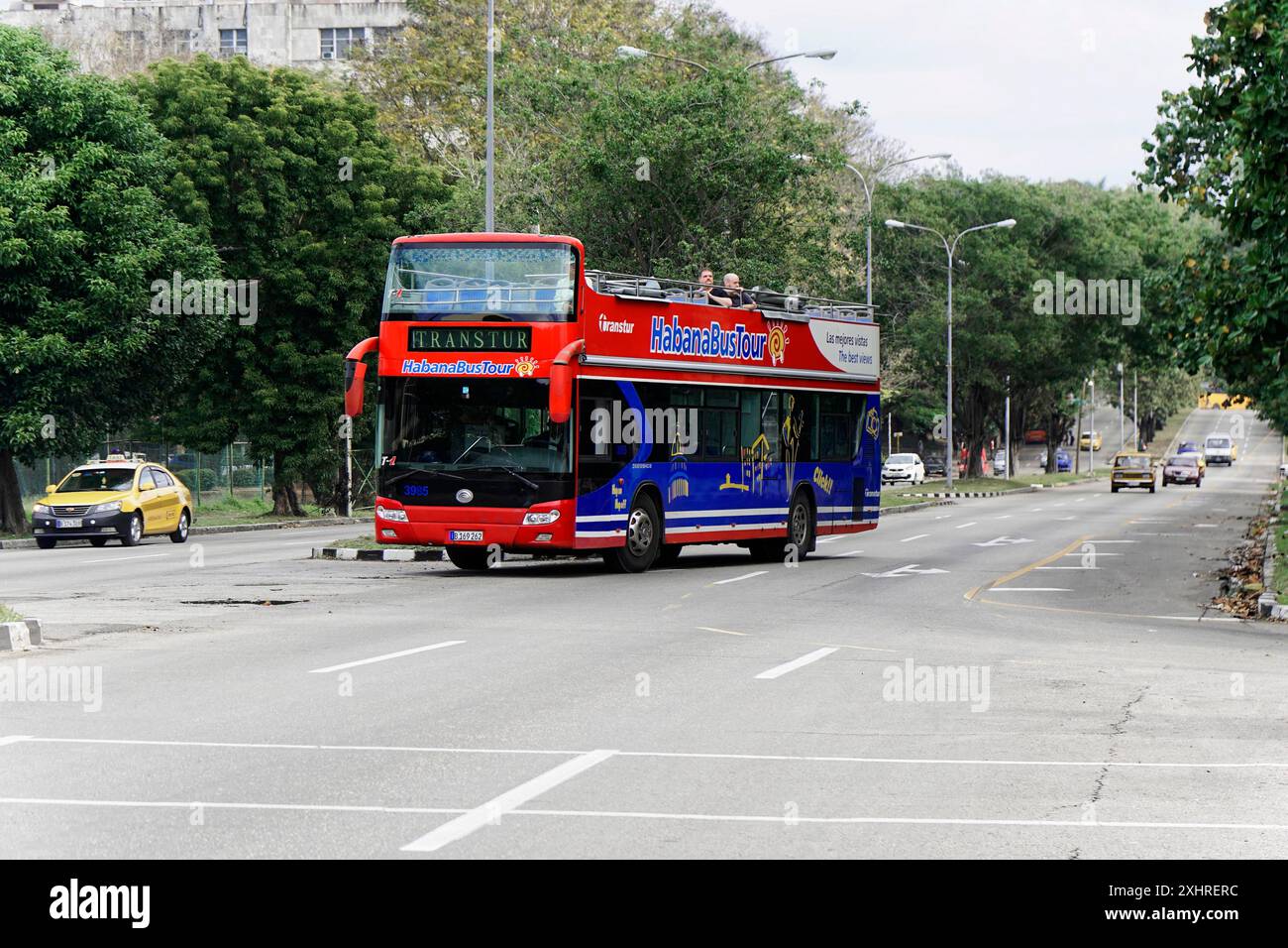 Cuba, grandes Antilles, Caraïbes, Amérique centrale, Amérique, bus à impériale rouge et bleu dans une rue vide dans un environnement vert et urbain, la Havane Banque D'Images