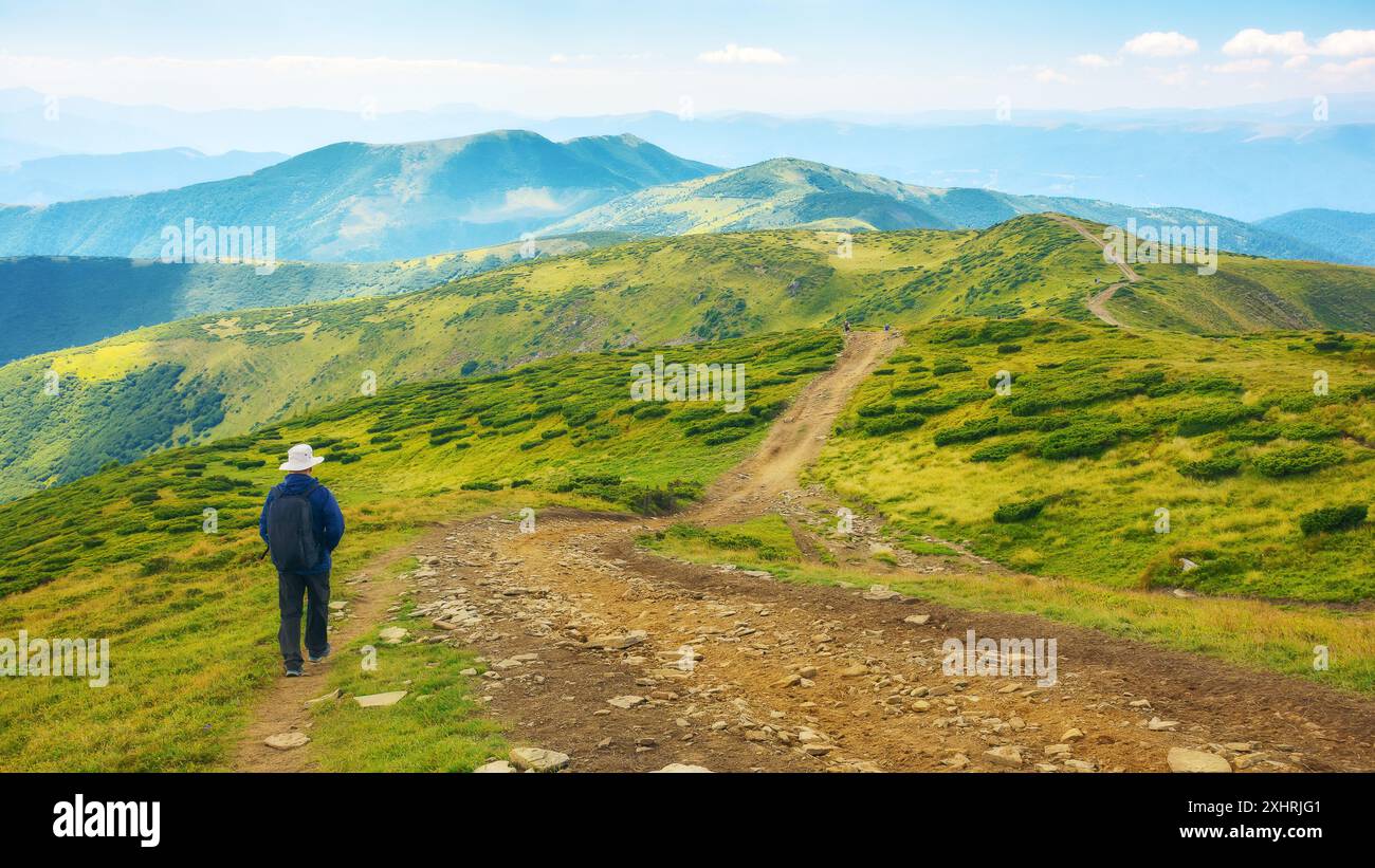 randonnée dans les montagnes des carpates en été. aventures en plein air en ukraine. descendez les pentes roulantes du mont petros dans une lumière tamisée Banque D'Images