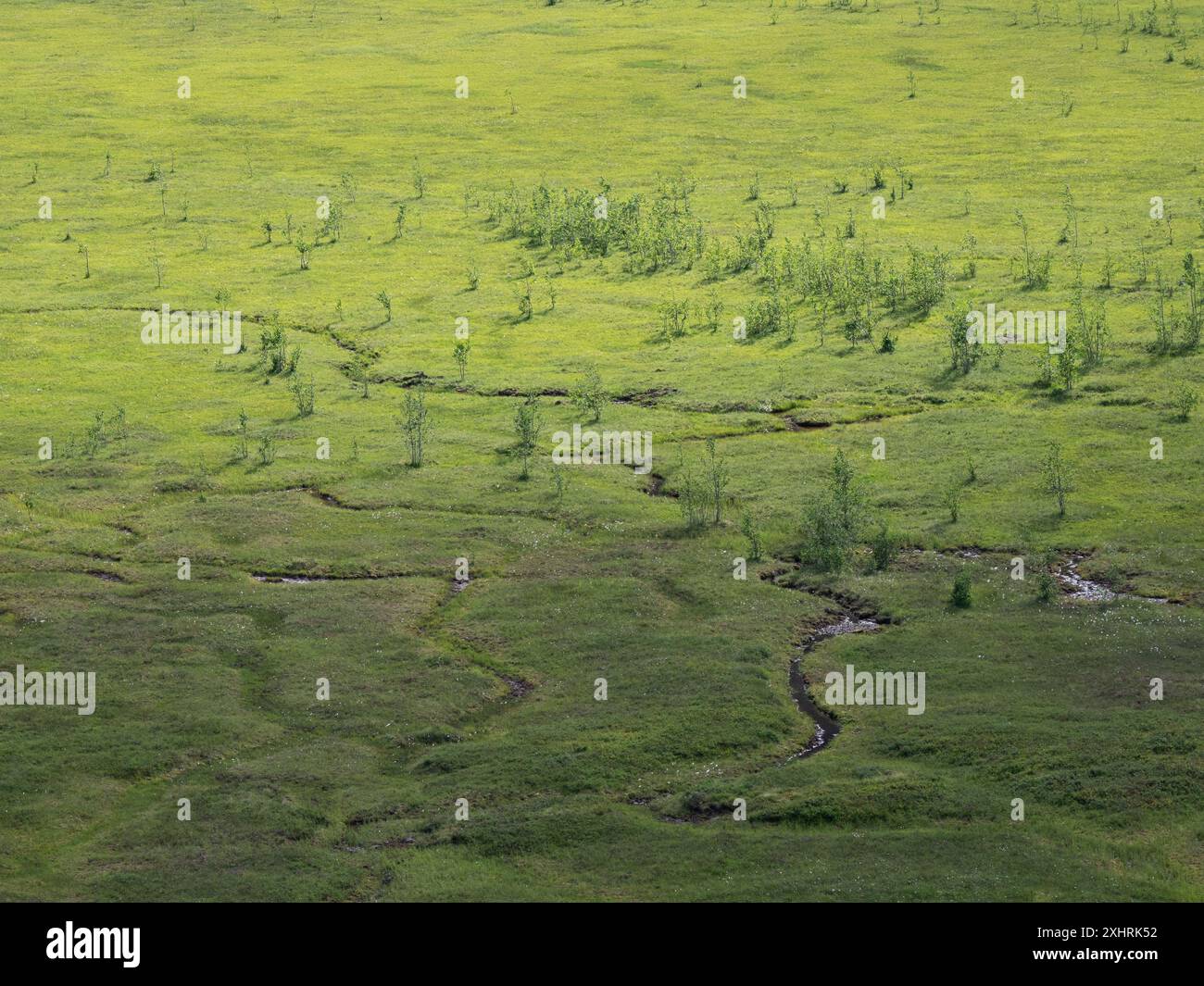 Tungestølen et région autour à Sogn, Norvège Banque D'Images