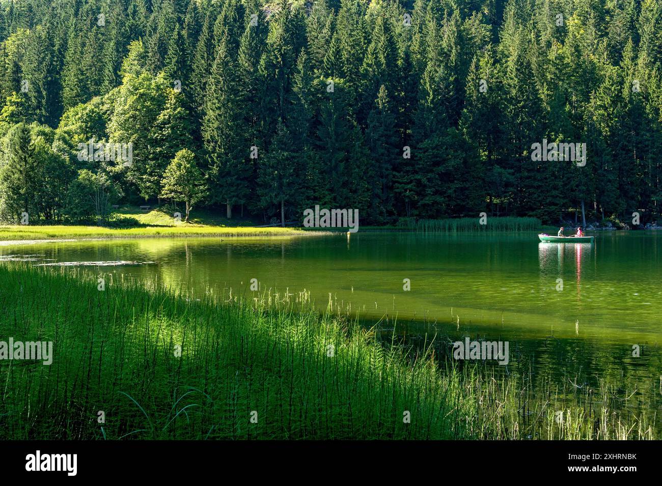 Spitzingsee, lac de montagne avec étang prêle, prêle d'eau (Equisetum fluviatile), couple sur une excursion dans un bateau à rames, municipalité de Banque D'Images