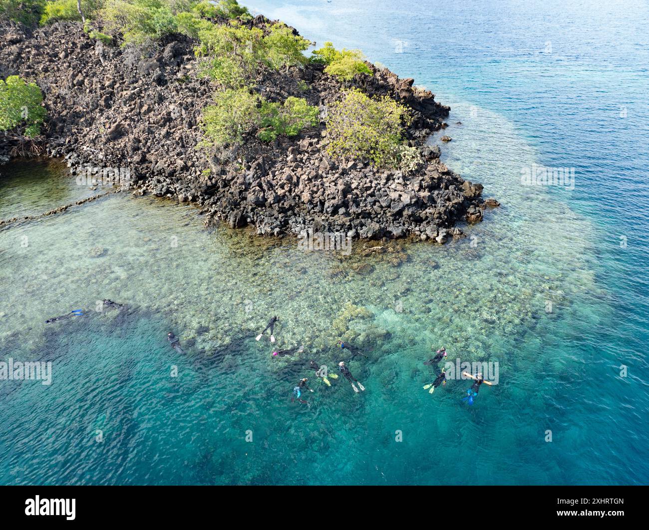 Les plongeurs explorent le récif corallien riche en biodiversité qui borde l'île de Pulau Lembata, en Indonésie. Cette zone de biodiversité fait partie du cercle de feu. Banque D'Images
