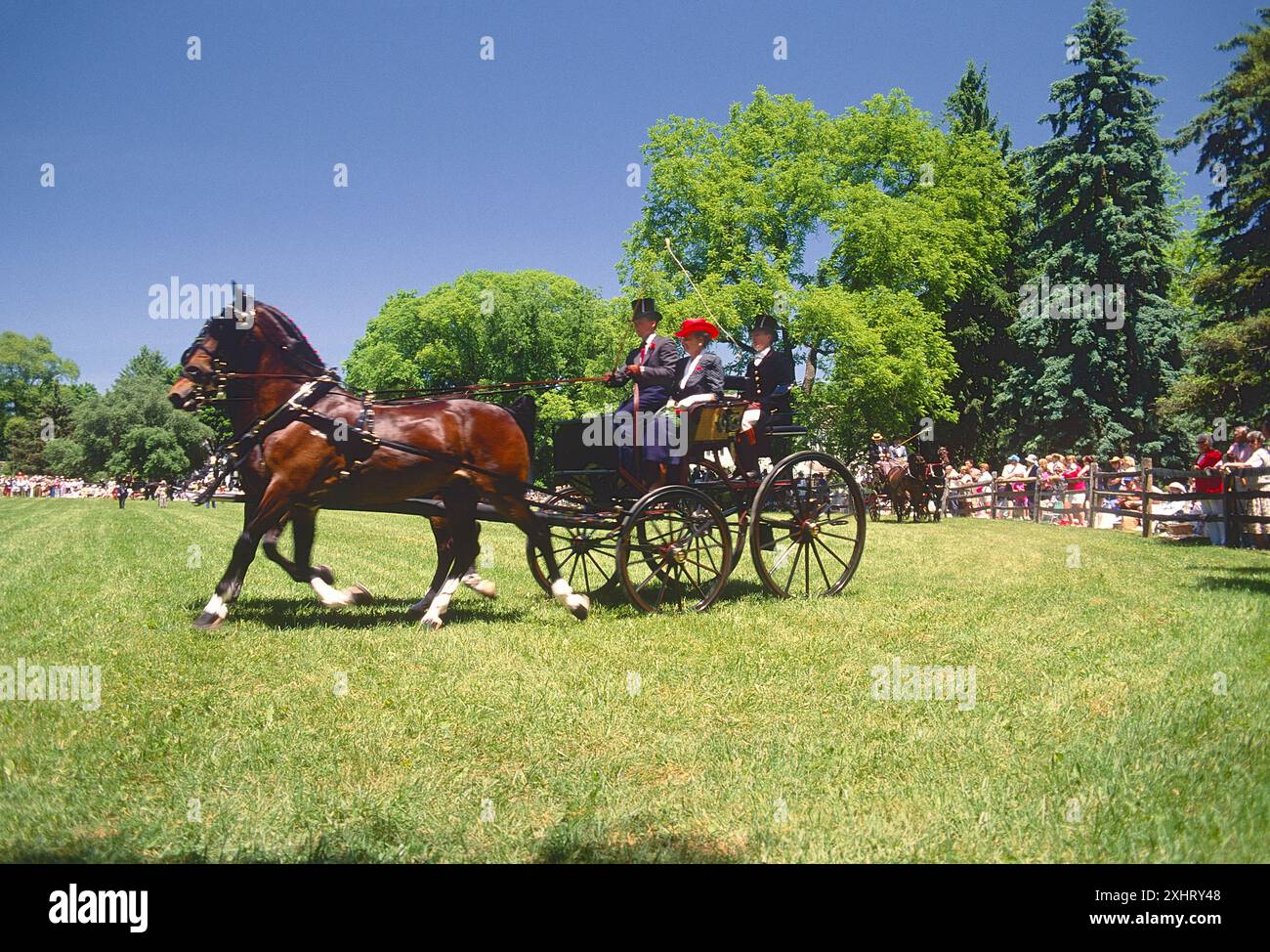 Devon Horse Show & Country Fair ; Devon ; Pennsylvanie ; États-Unis. Le plus ancien (1896) spectacle en plein air aux États-Unis. Banque D'Images