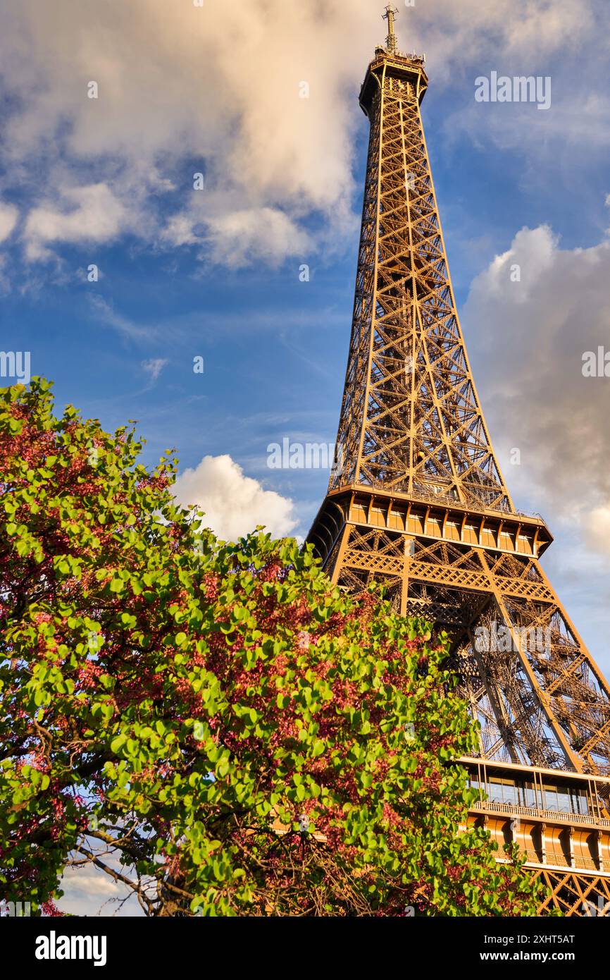 Tour Eiffel. Paris. La France. Banque D'Images