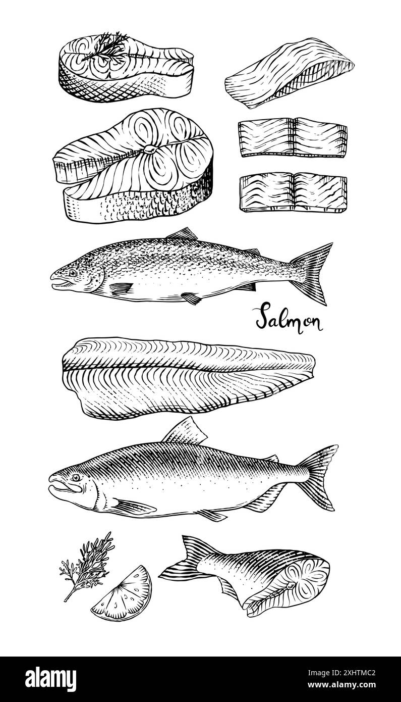 Croquis de poisson. Filet de saumon, illustration vectorielle dessinée à l'encre à la main. Tranches de steaks. Produit frais. Fruits de mer vintage de style gravé. menu du restaurant de fruits de mer Illustration de Vecteur