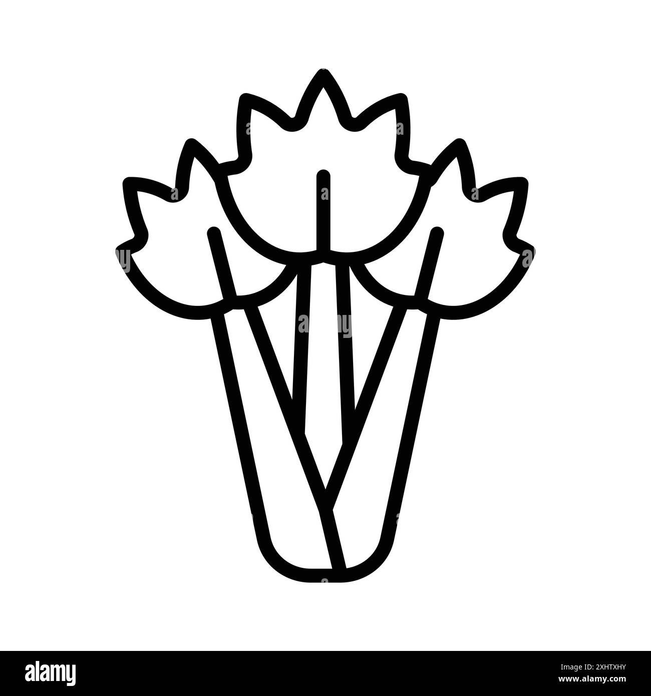 Celery icône linéaire logo Mark Set collection en noir et blanc pour le web Illustration de Vecteur