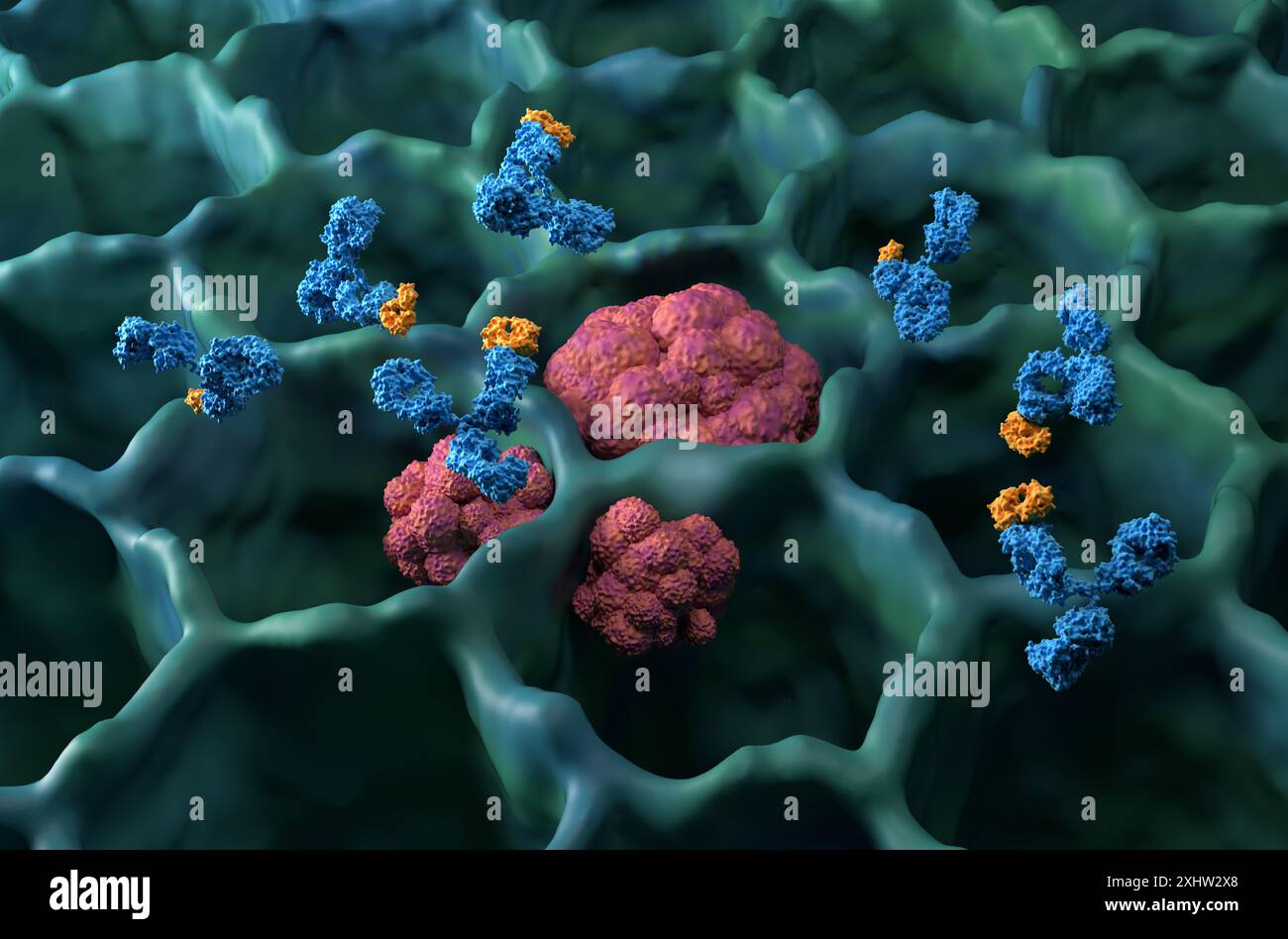 Traitement par anticorps monoclonaux dans le cancer du poumon (LC) - vue isométrique illustration 3D. Banque D'Images