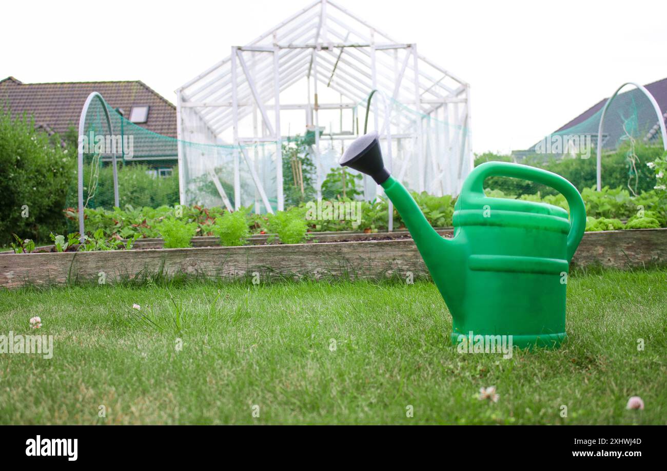 Un arrosoir vert debout sur le sol, une petite serre et de jeunes plants de plantes en arrière-plan Banque D'Images