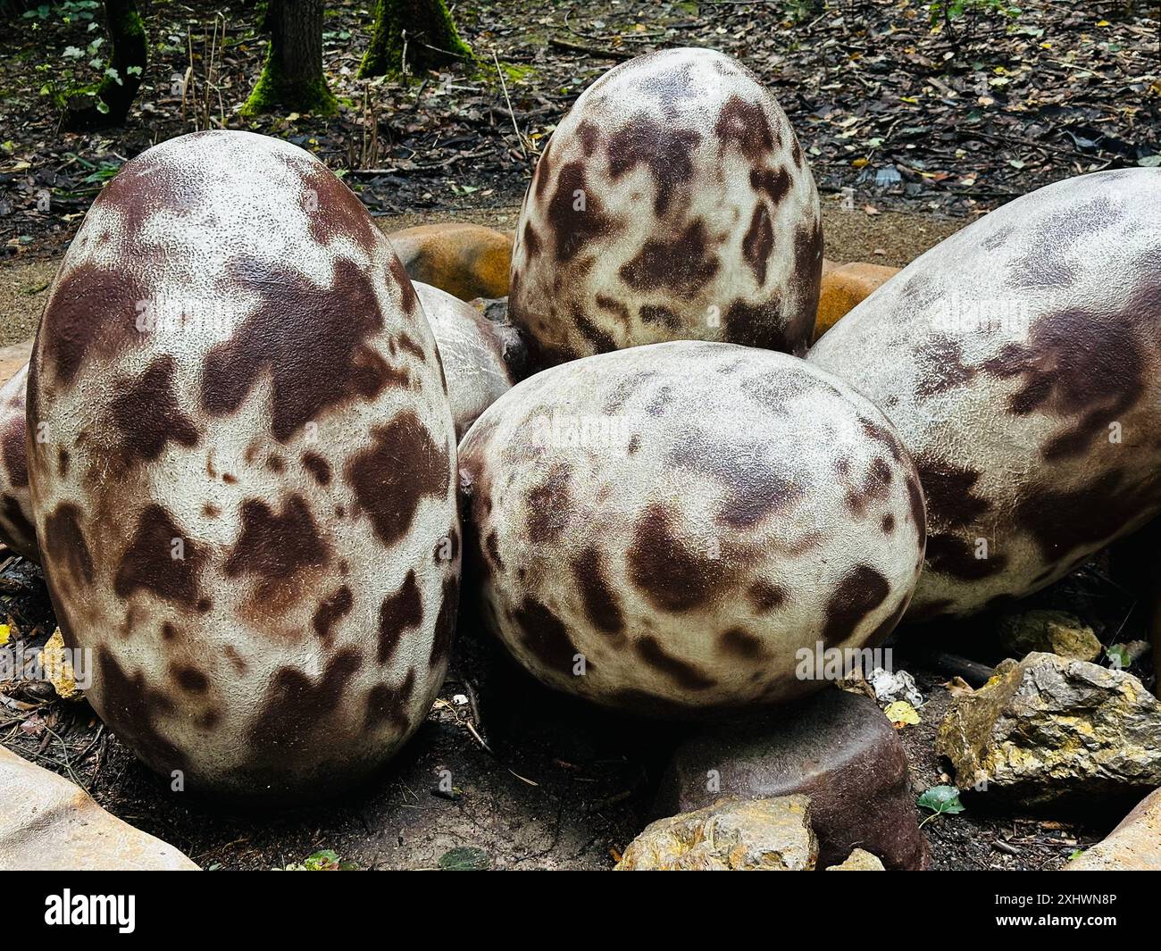 Oeufs de dinosaure. Figure réaliste d'un parc boisé de dinosaures d'oeufs à Kazimierz Sosnowiec. Prédateur préhistorique créer un élément fascinant du lan Banque D'Images