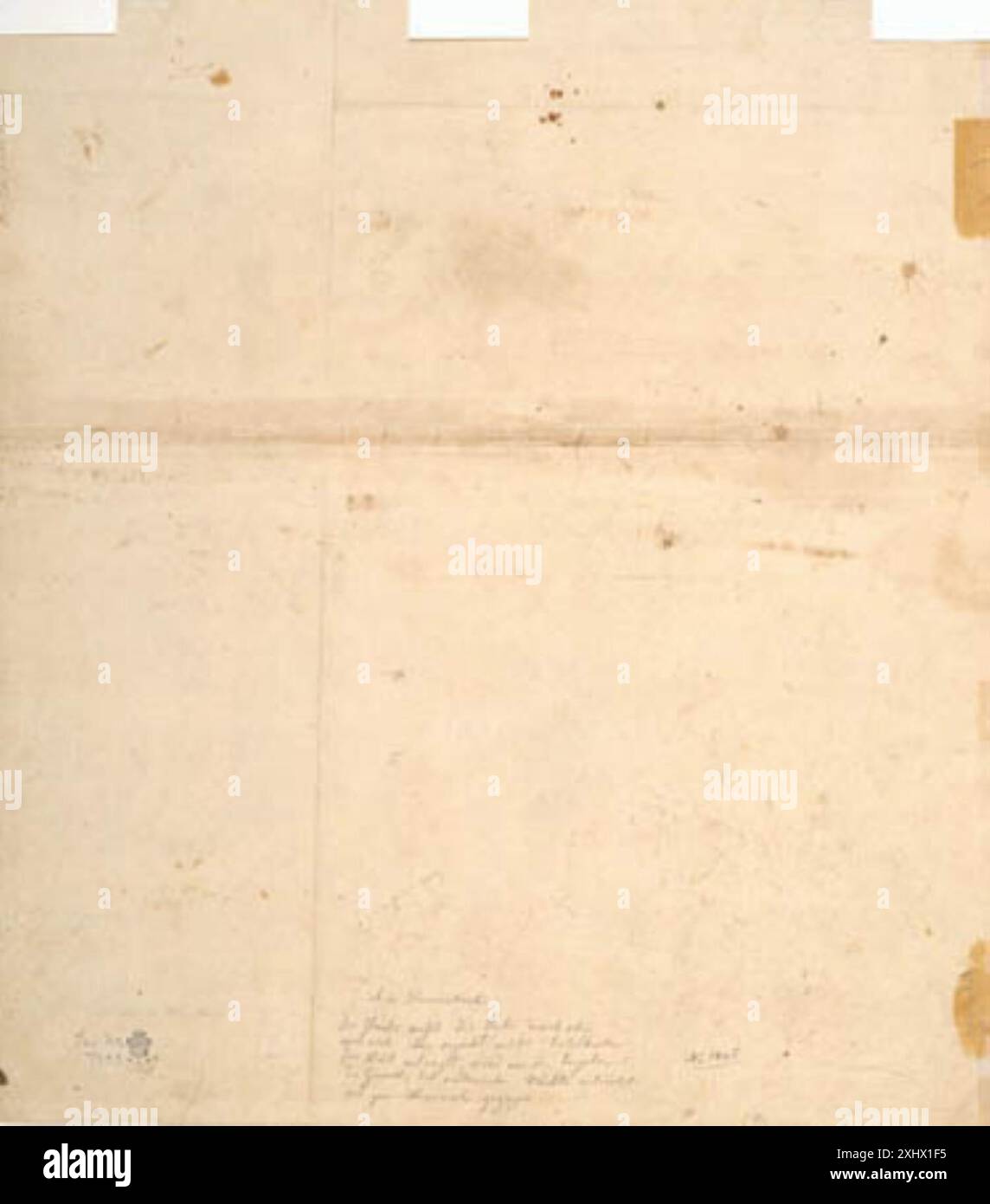 Dessin de Maarten van Heemskerck (1498-1574) montrant la tête d'un cheval avec des croquis lâches et des études observationnelles de l'anatomie et de la forme. Banque D'Images