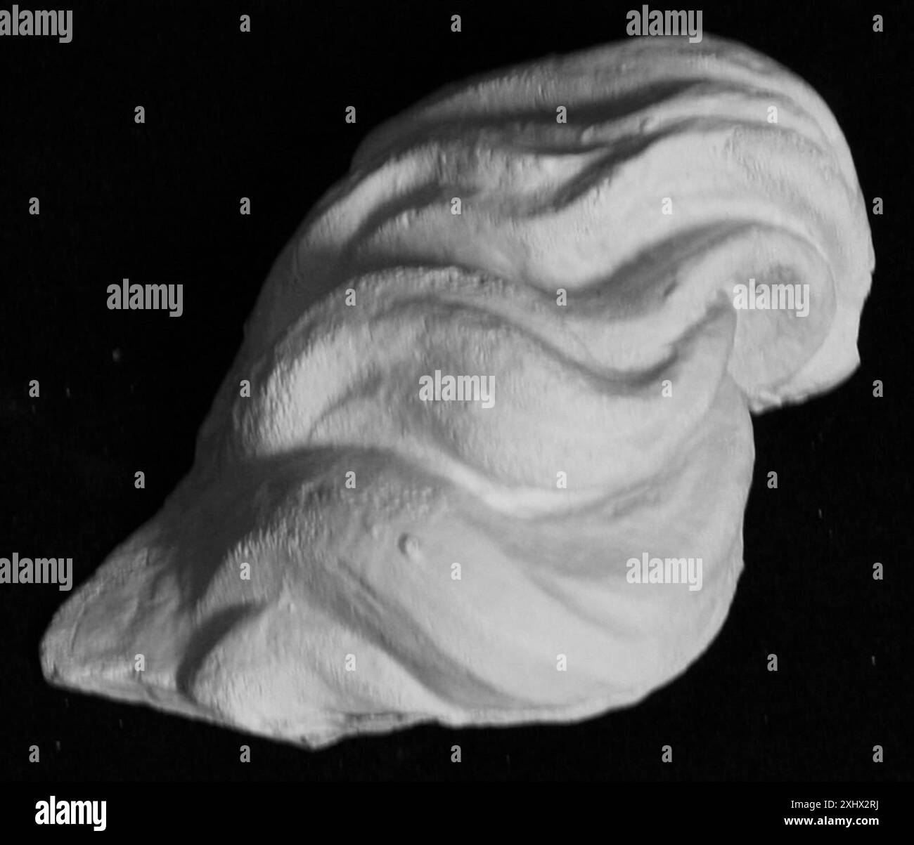 Fragment montrant des mèches de cheveux tirées d'un portrait de Seleukos I ou Attalos I, mettant l'accent sur les détails de la tête et de la coiffure. Banque D'Images