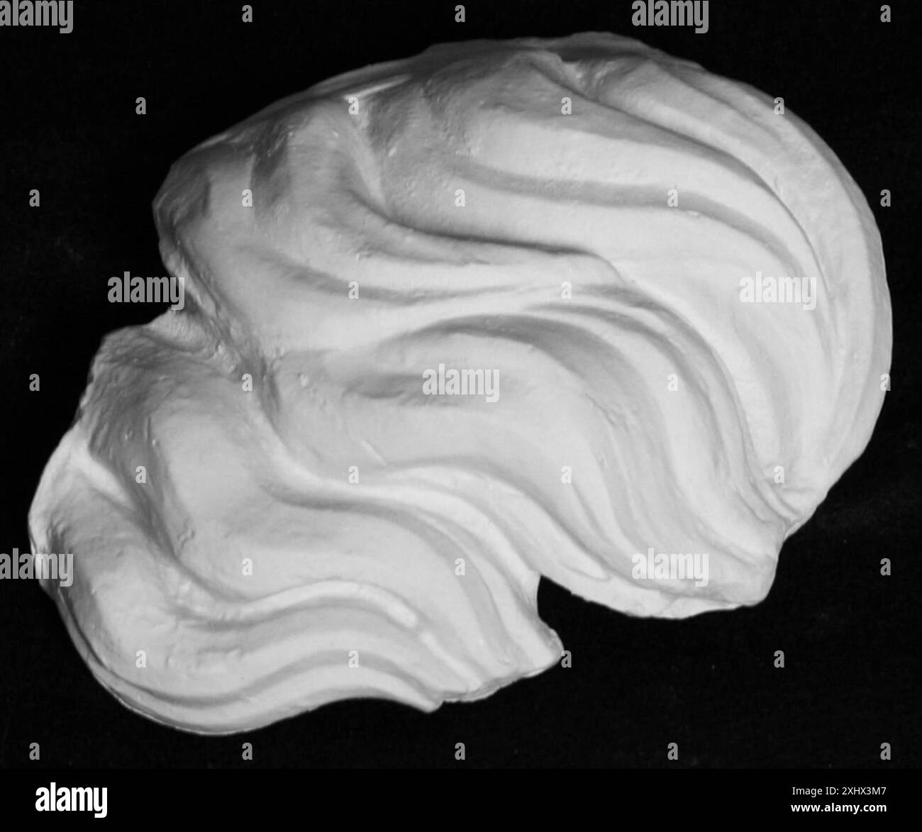 Fragment détaillé montrant des mèches de cheveux d'un portrait de Seleukos I ou Attalos I, mettant l'accent sur la tête et la coiffure. Banque D'Images