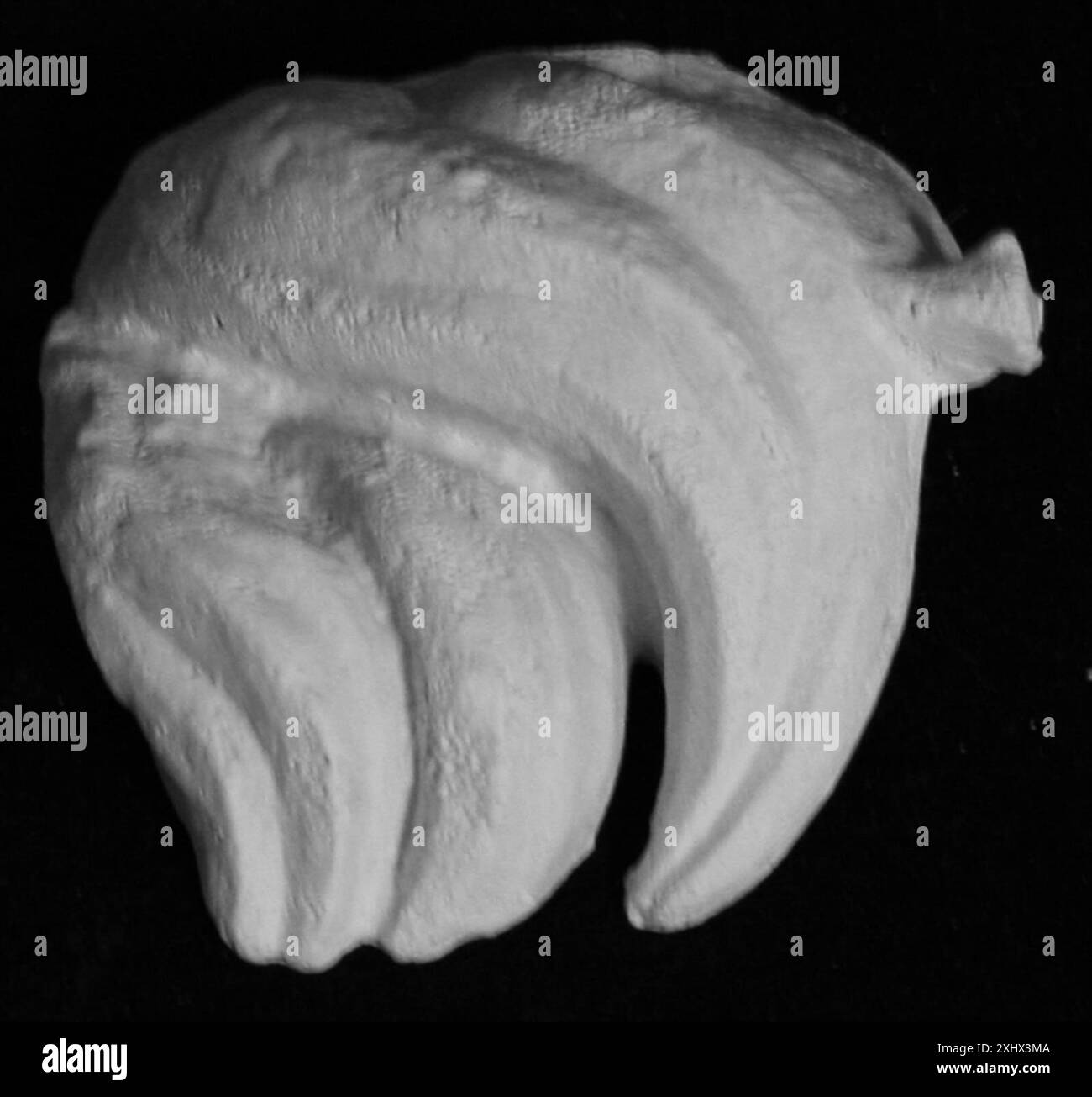 Détail montrant des mèches de cheveux d'une sculpture de portrait de Seleukos I ou Attalos I. Banque D'Images