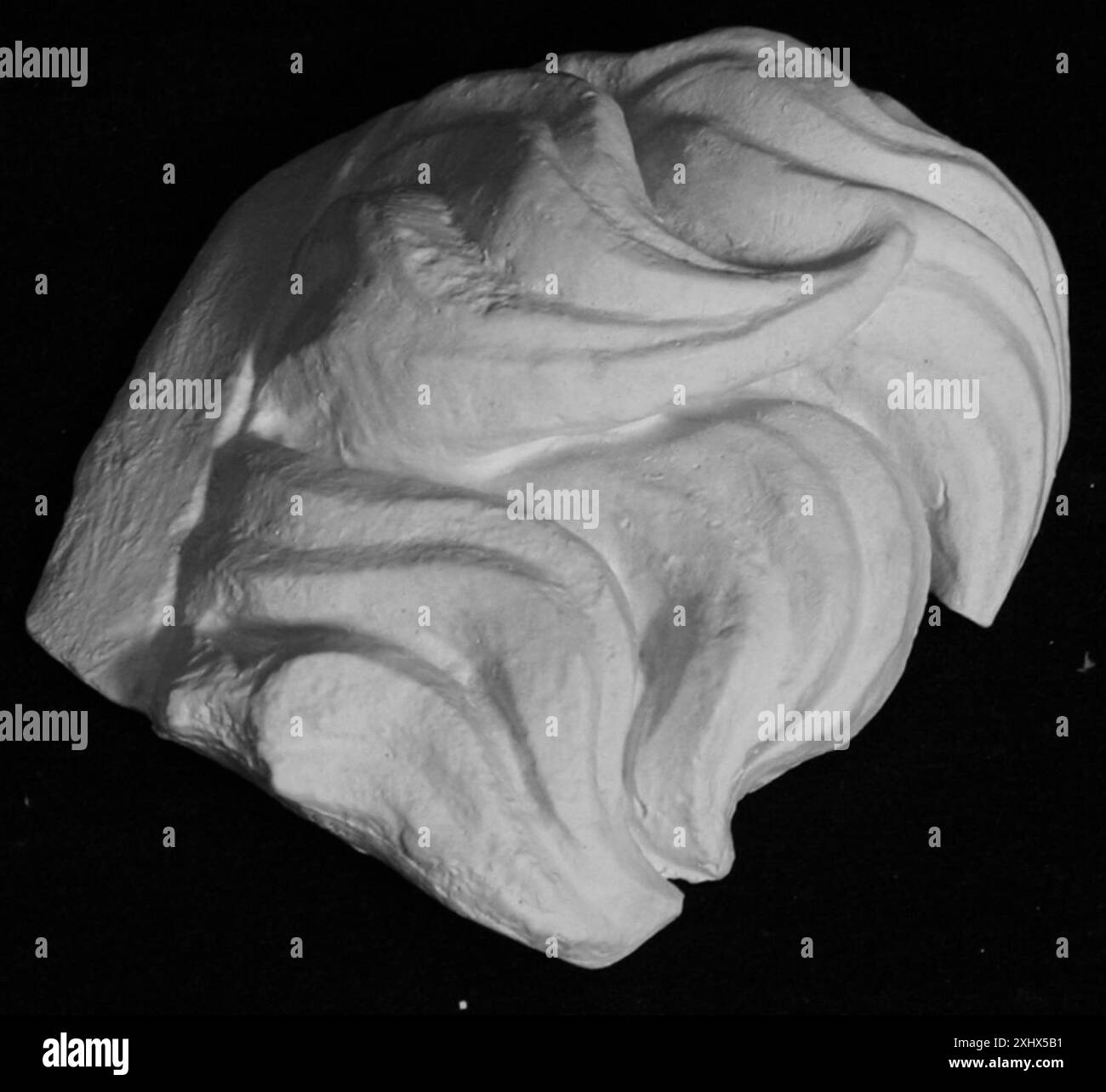 Détail des mèches de cheveux d'un portrait de Seleukos I ou Attalos I. le travail se concentre sur la tête et la coiffure, donnant un aperçu du portrait hellénistique et des conventions artistiques. Banque D'Images