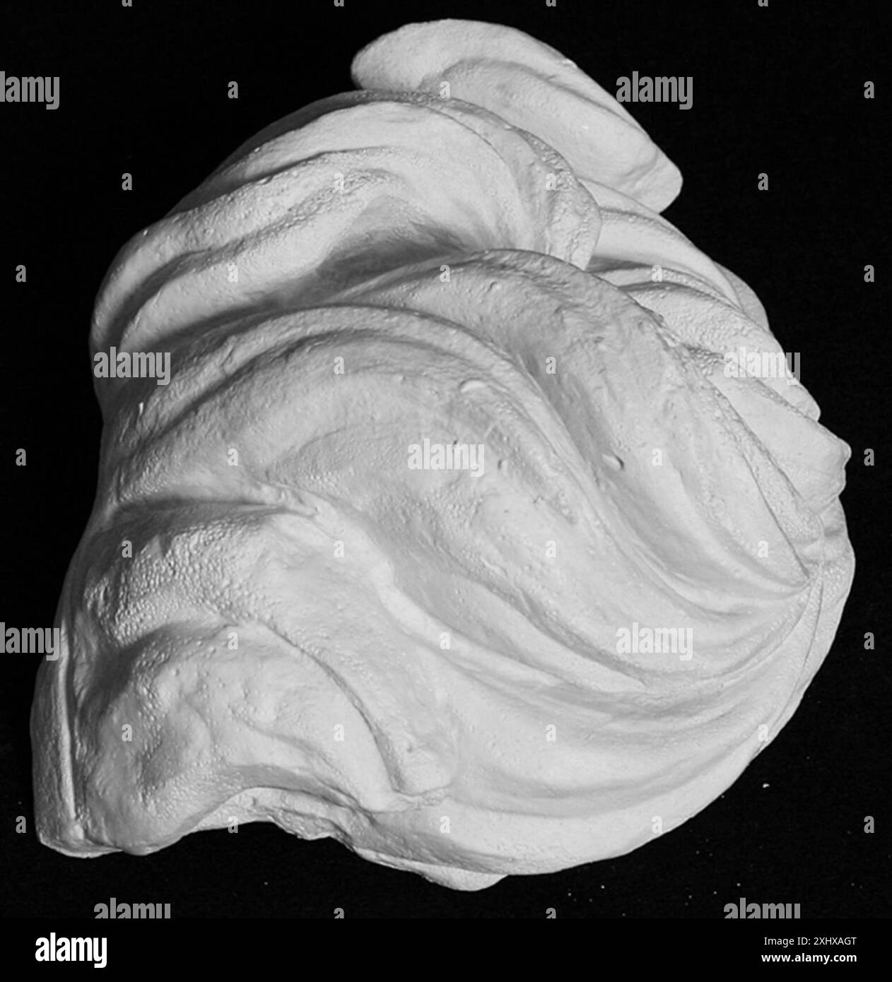 Étude des mèches de cheveux à partir du portrait de Seleukos I ou Attalos I, montrant la texture sculpturale détaillée et les traits classiques de la tête. Banque D'Images