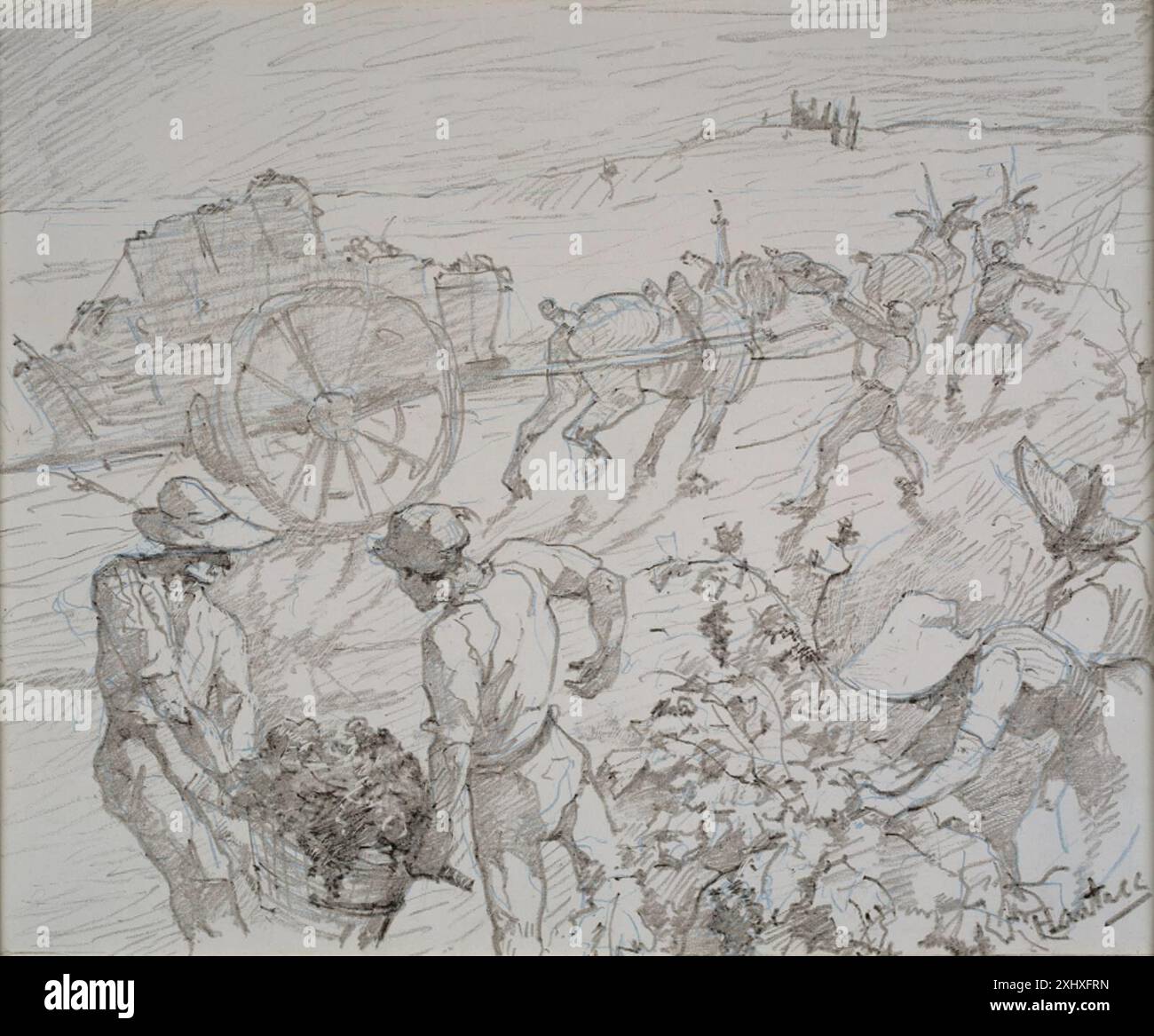 Dessin d'Henri de Toulouse-Lautrec montrant une scène de vendanges, représentant les ouvriers, les raisins et le paysage viticole. Banque D'Images