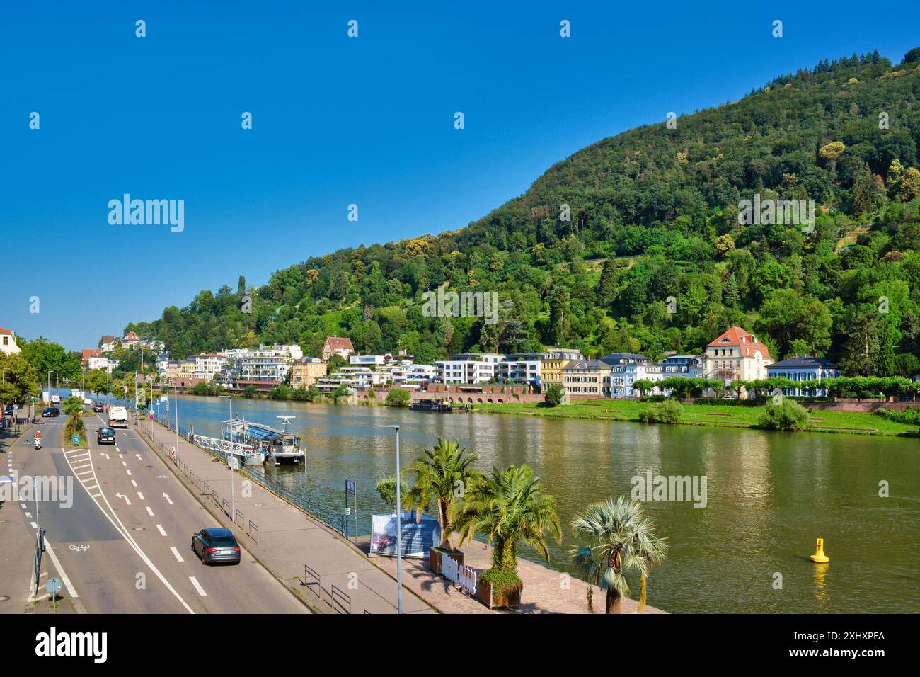 Heidelberg, Allemagne - 28 juin 2024 : vue sur la rive inférieure du Neckar avec rues et bâtiments résidentiels en été Banque D'Images