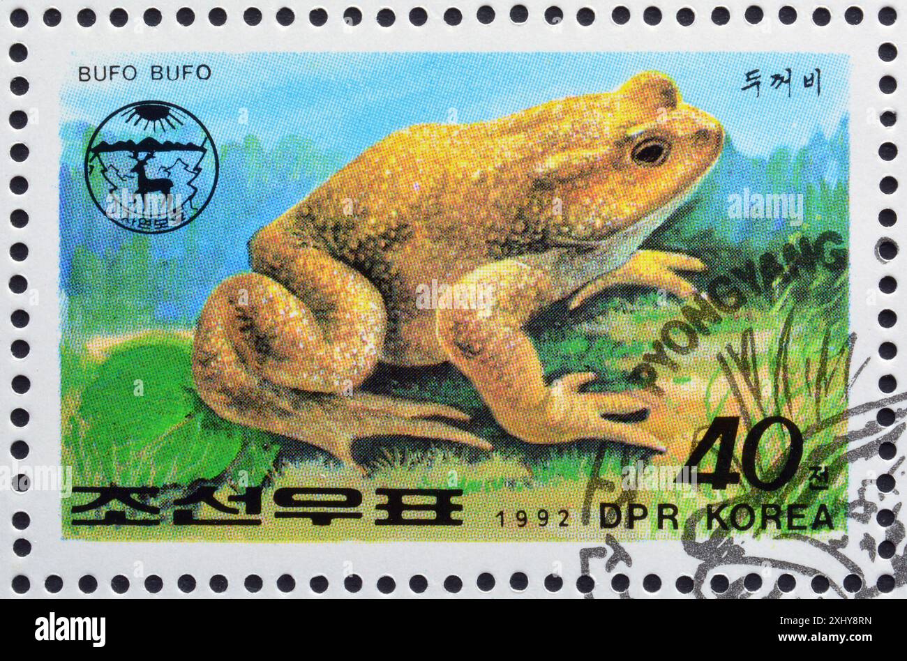 Timbre-poste oblitéré imprimé par la Corée du Nord, qui montre le crapaud commun (Bufo bufo), vers 1992. Banque D'Images