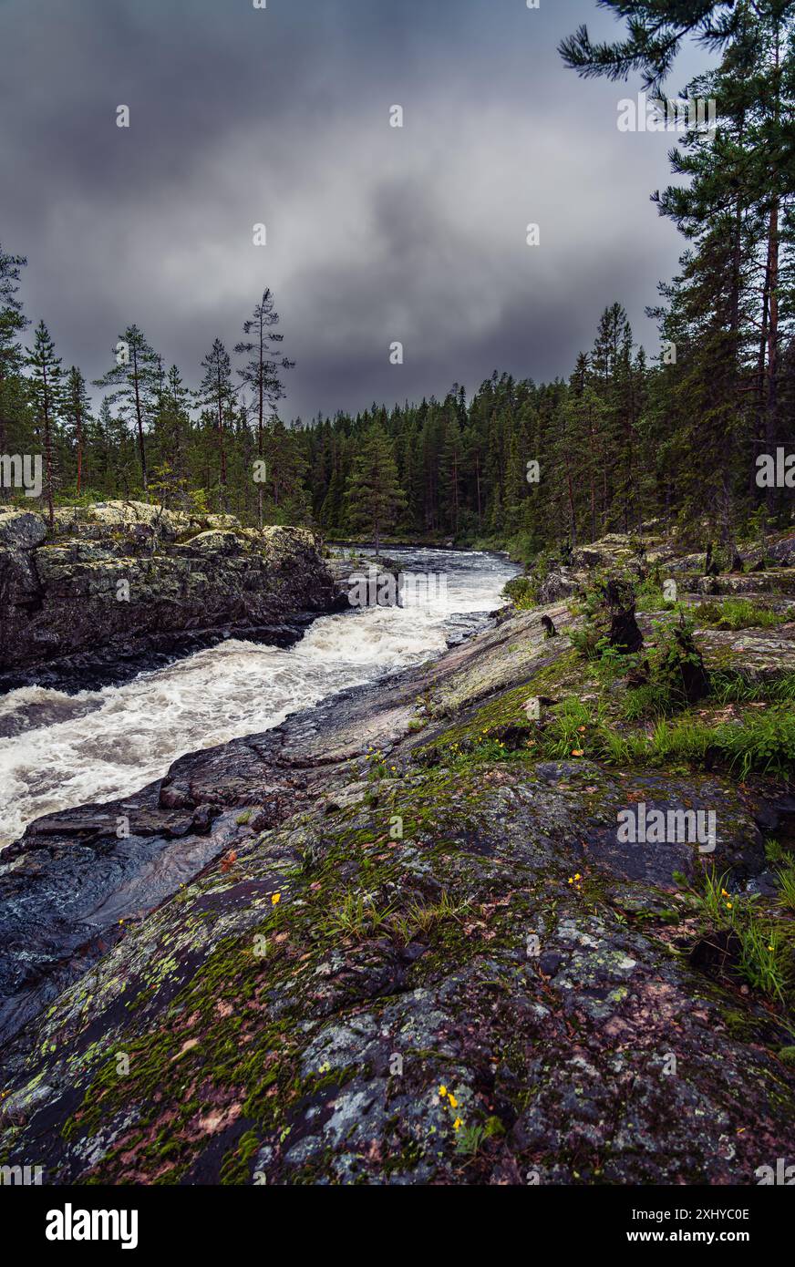 Vue de l'eau précipitée des rapides de la rivière Storån à Idre Dalarna Suède, avec un fond boisé matin nuageux. Banque D'Images