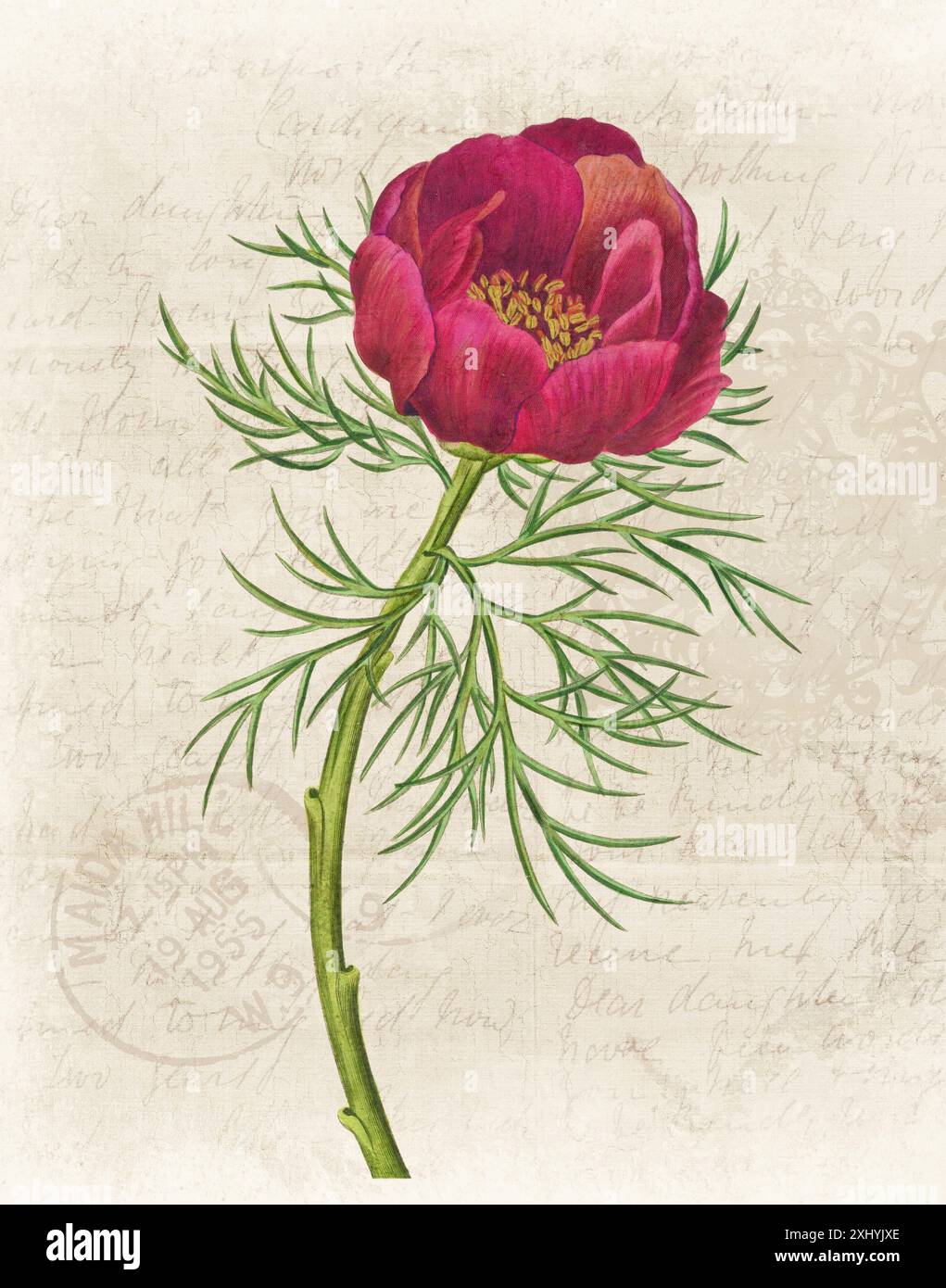 Illustration florale avec aquarelle numérique sur beige grunge, évoquant le papier manuscrit antique. Banque D'Images