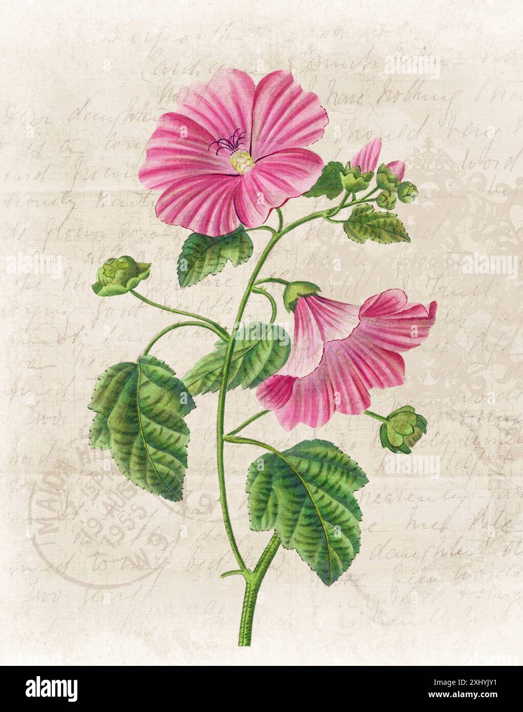 Illustration florale avec aquarelle numérique sur beige grunge, évoquant le papier manuscrit antique. Banque D'Images