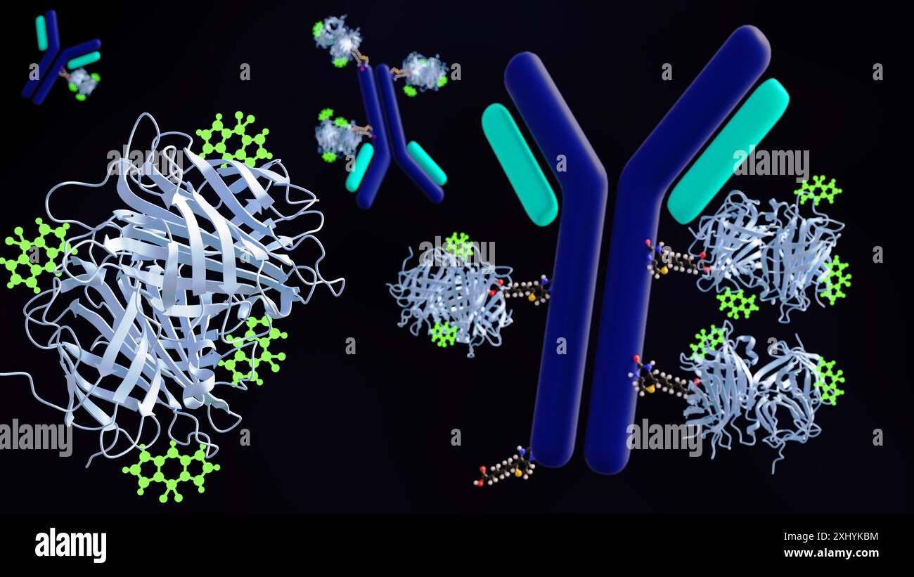 Rendu 3D D'un anticorps biotinylé LIE aux MOLECULES BODIPY ou vert vif. Banque D'Images