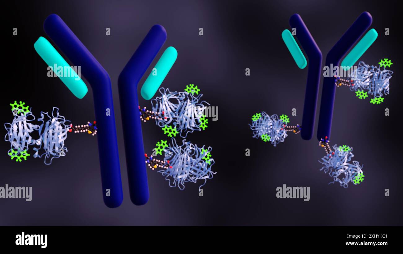 Rendu 3D D'un anticorps biotinylé LIE aux MOLECULES BODIPY ou vert vif. Banque D'Images