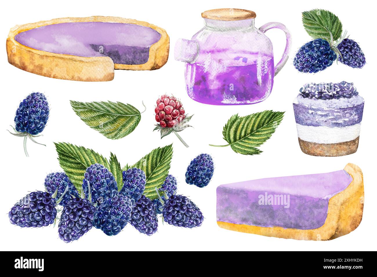 Tarte aux mûres, ensemble avec tarte, thé aux mûres, gâteau, morceau de tarte, illustration à l'aquarelle dessinée à la main du dessert avec des mûres et des feuilles vertes et Banque D'Images