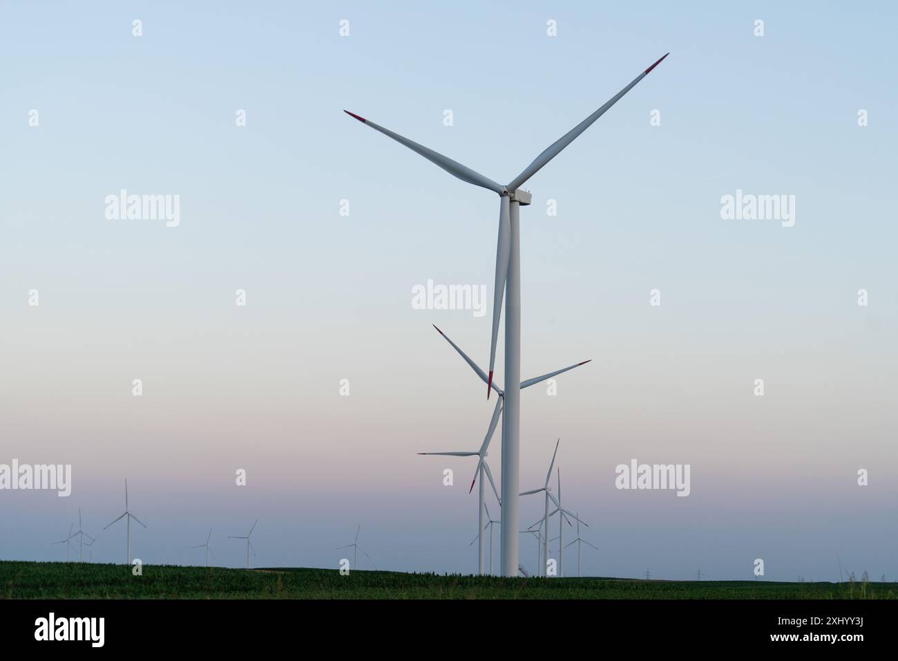 Champ agricole avec éoliennes. Banque D'Images