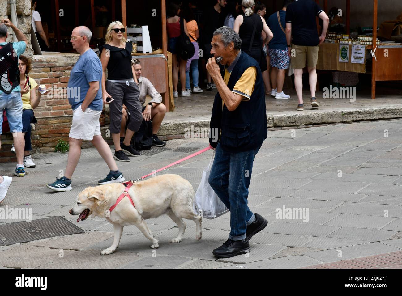 Homme jouant de l'harmonica tout en promenant son chien de compagnie à San Gimignano en Toscane, Italie Banque D'Images