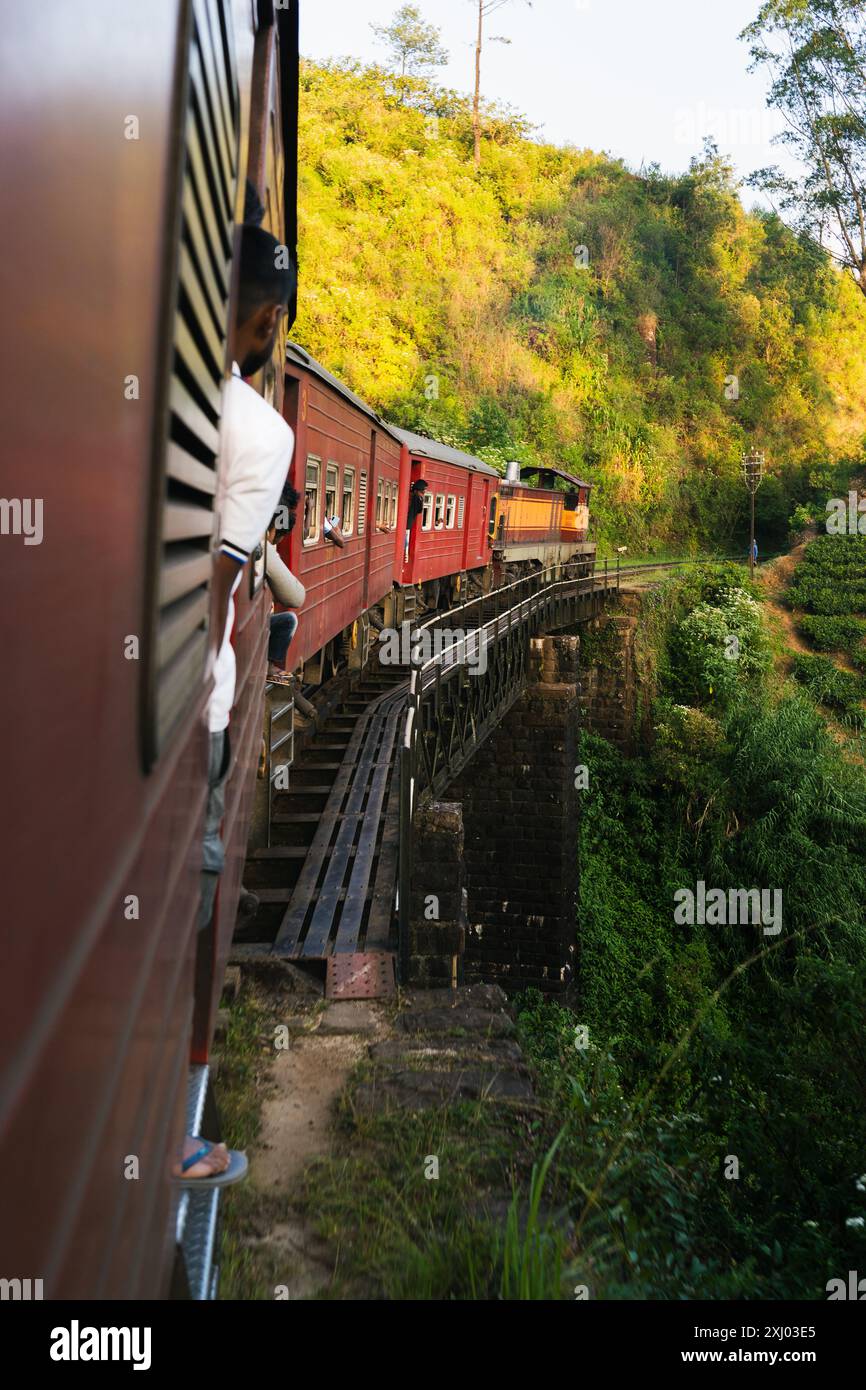 Le train sri-lankais voyage à travers des plantations de thé vert luxuriant avec des arbres lors d'un voyage pittoresque dans la campagne au coucher du soleil. Banque D'Images