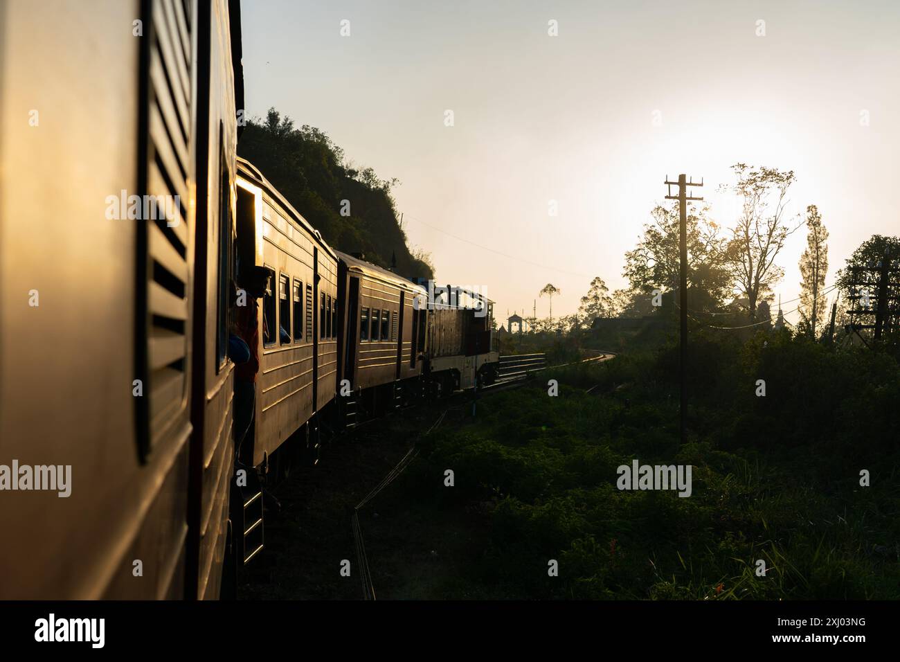 Le train sri-lankais voyage à travers des plantations de thé vert luxuriant avec des arbres lors d'un voyage pittoresque dans la campagne au coucher du soleil. Banque D'Images