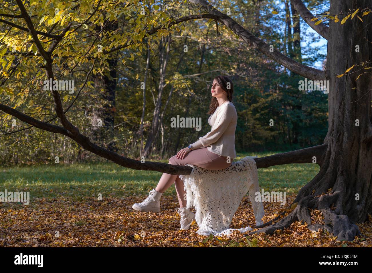 Marche d'automne. Portrait féminin. Une fille heureuse et belle est assise sur un arbre dans le parc et regarde loin. Nature et fille Banque D'Images