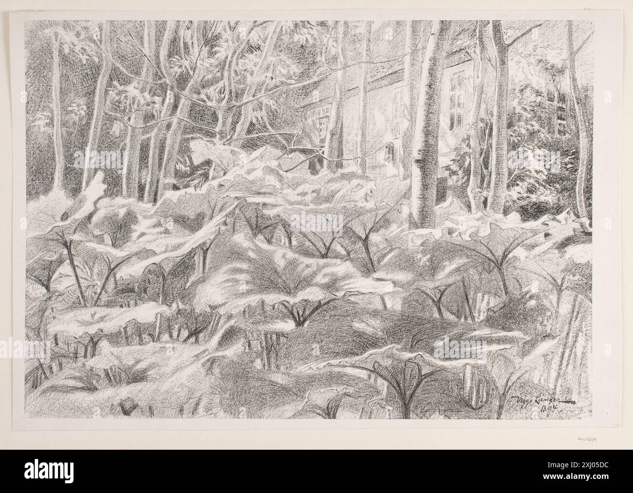 D'un jardin Langer, Viggo 1860 - 1942 lithographie, Imprimer Fra en Have Banque D'Images