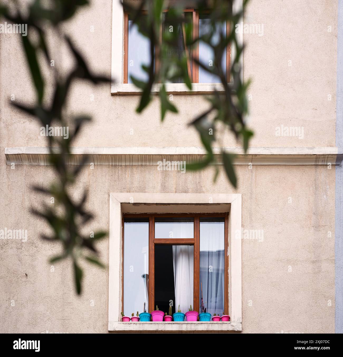 Extérieur du bâtiment avec fenêtre ouverte avec plantes en pot Banque D'Images