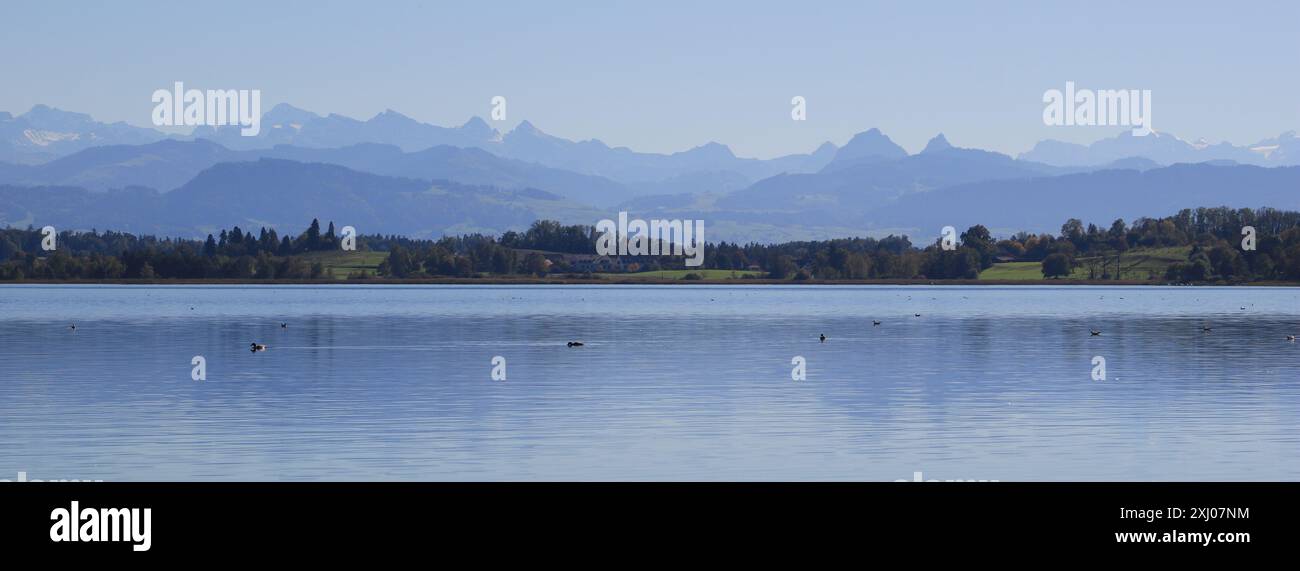 Lac Pfaeffikon et chaînes de montagnes en automne, Suisse. Banque D'Images