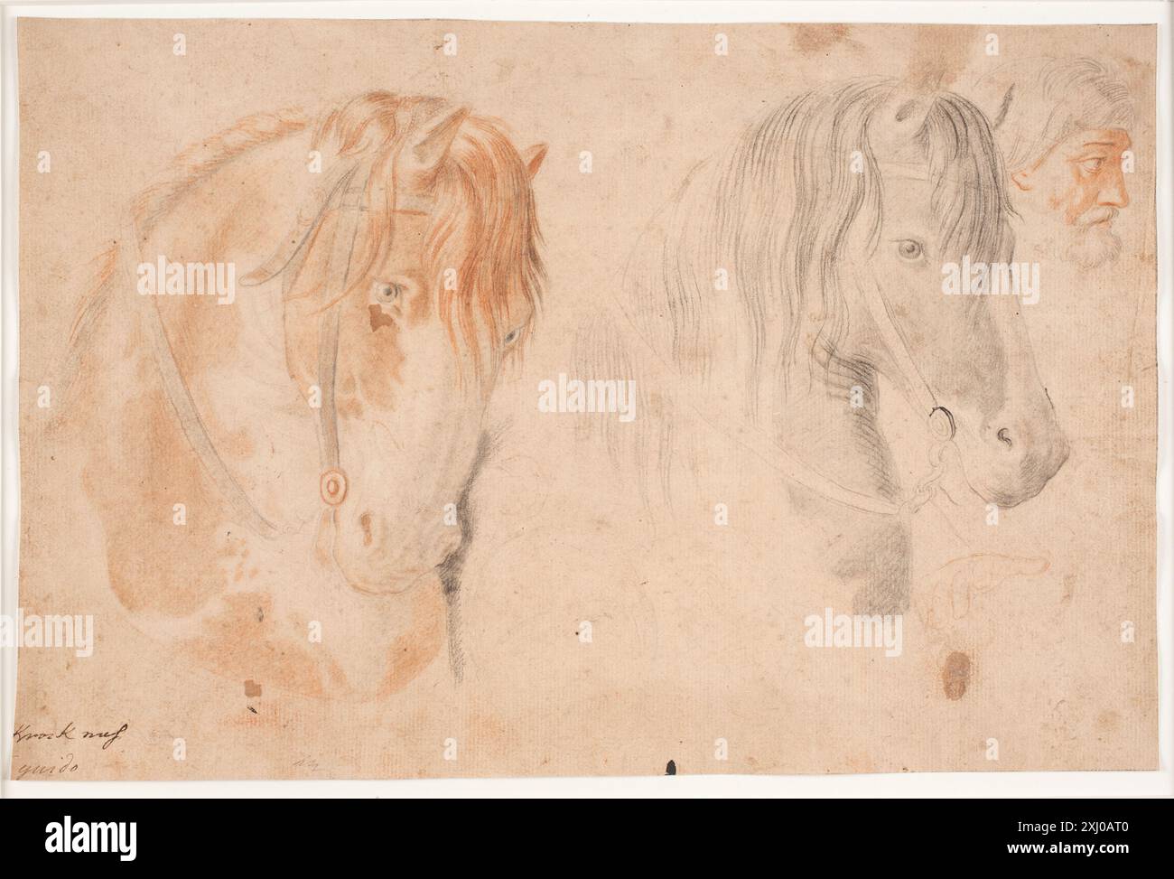Dessin représentant deux têtes de cheval et une tête d'homme par Hendrik Krock, créé entre 1671 et 1738. Banque D'Images